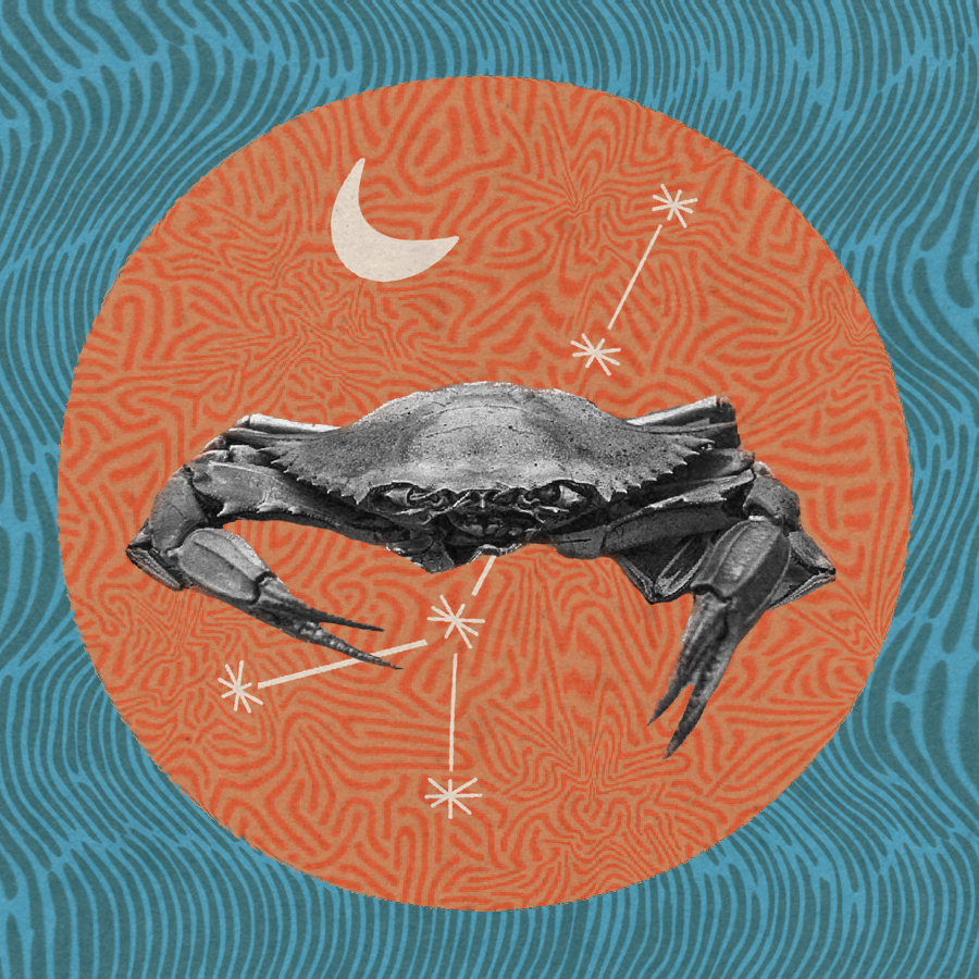 Cancer Astro Care Guide