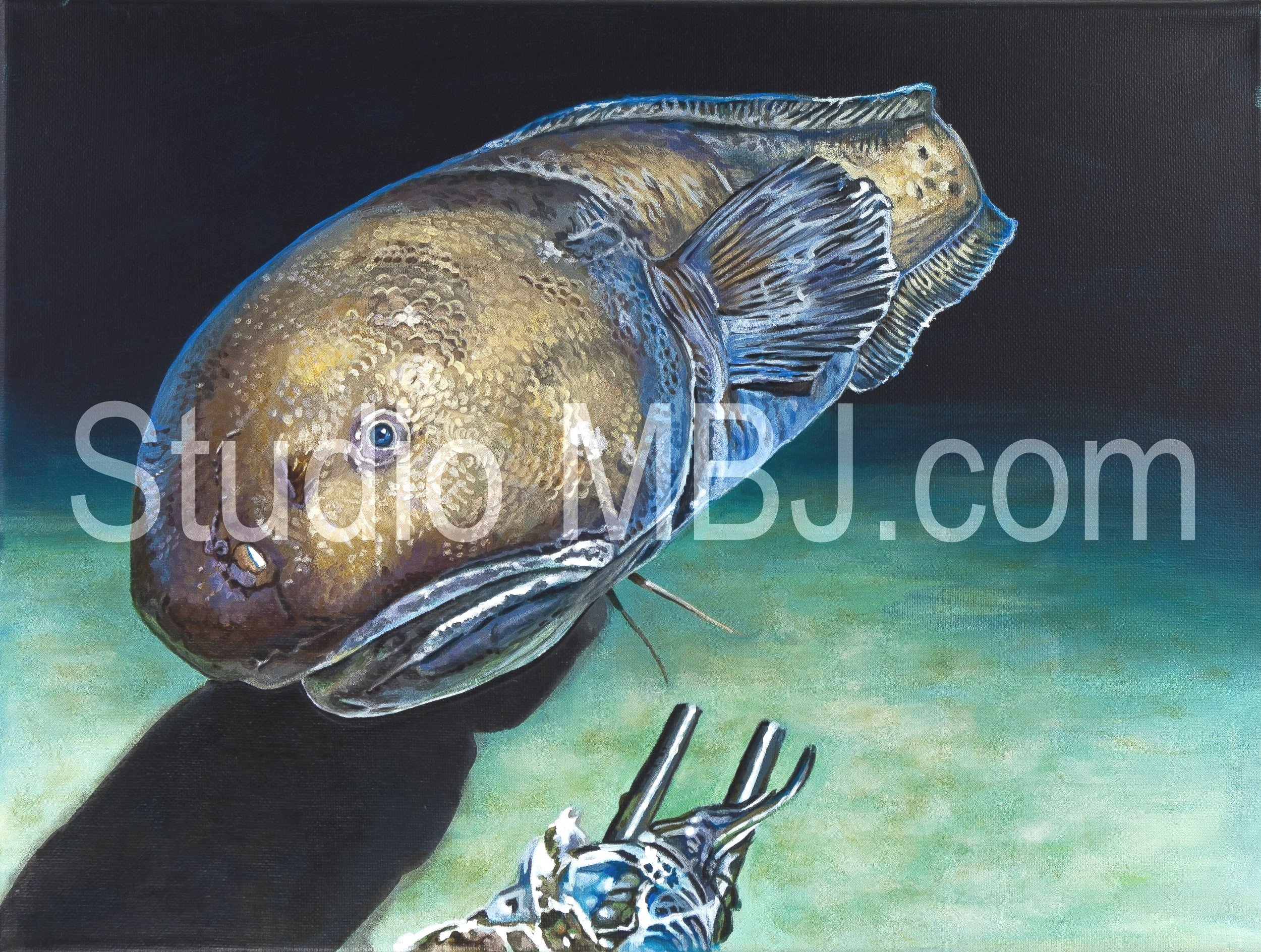 Curious George, Bassozetus Cusk Eel, 11x14" acrylic on canvas
