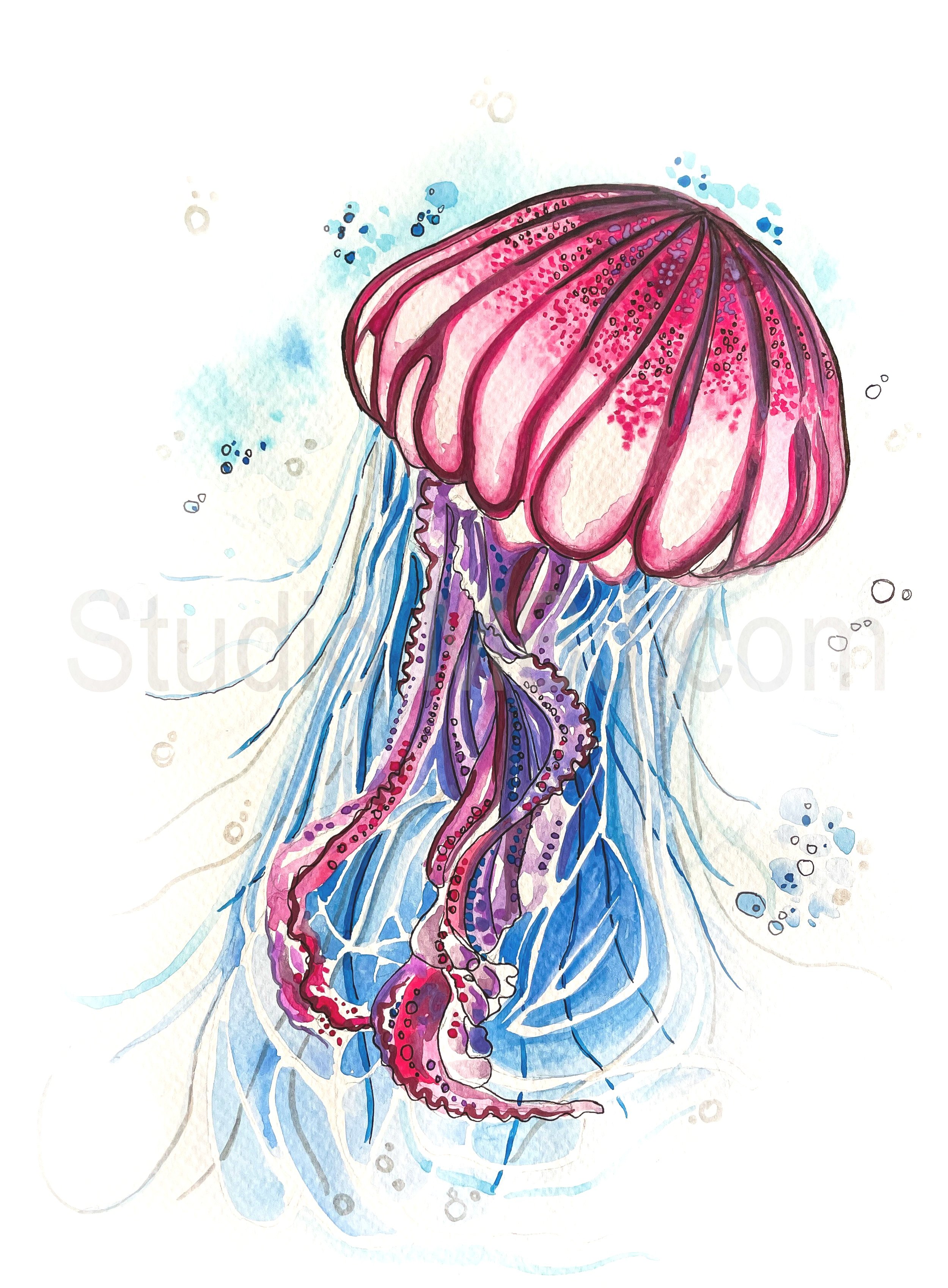 Pink Jellyfish, 9x12" watercolor