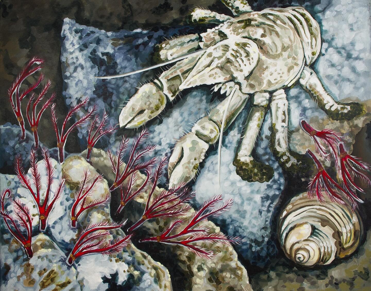 Here&rsquo;s another painting I did for my upcoming children&rsquo;s book on the deep ocean, these are Osedax bone eating worms and a Munidopsis squat lobster enjoying a whalefall lunch! 

Whales are huge right? And eventually they die, and when all 