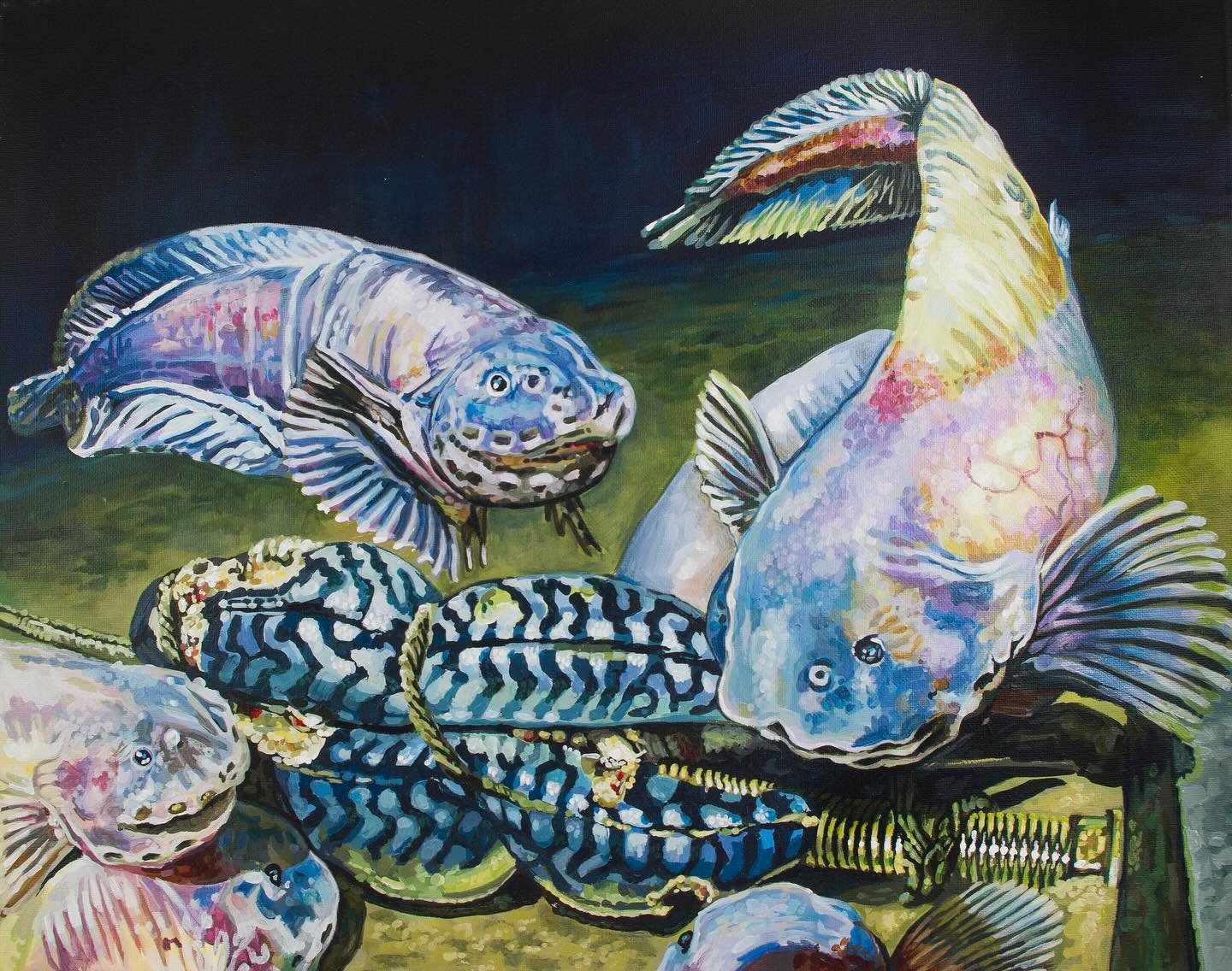 What a week! Great news all around, especially finding out my Mariana Snailfish painting was selected as &lsquo;Restoring the Viewers Relationship with the Ocean&rsquo; category winner for the @moku.art Under the Sea art show 2025. Deepest fish in th