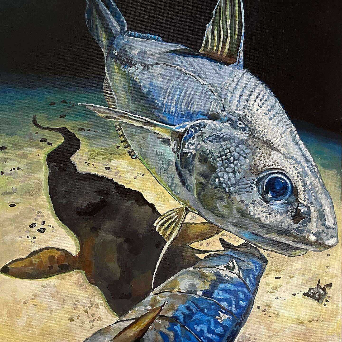 It&rsquo;s the last prompt day #forplanetocean2025 and the topic is untold stories of the ocean. A huge part of my work is all about relating the untold stories of the deep ocean through vibrant art work. It&rsquo;s my goal to show you something you 