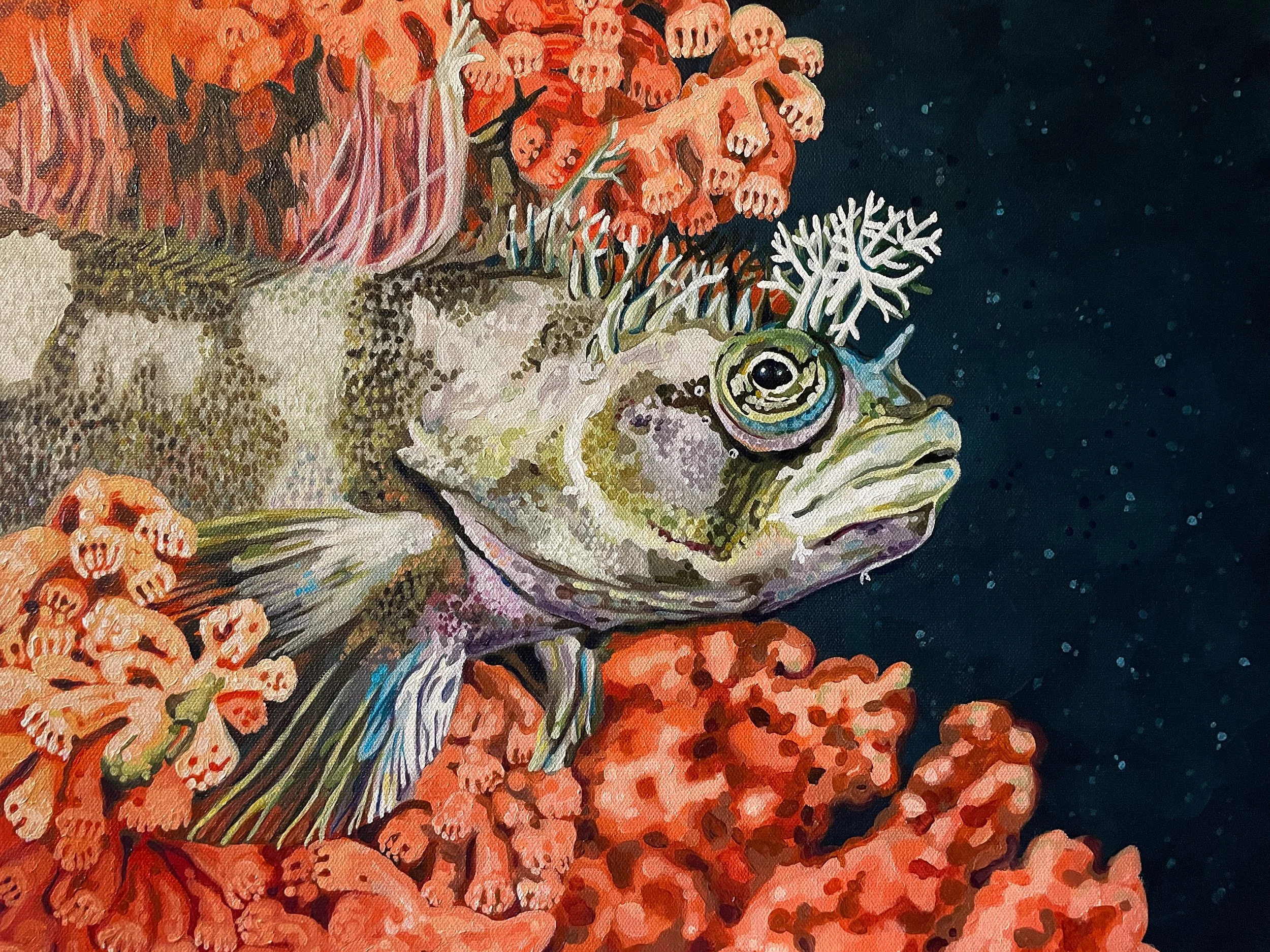 And finished! Titled &ldquo;The Maximalist&rdquo; this 16x20&rdquo; acrylic on canvas painting is of an adorable Warbonnet hiding in a Red Tree Coral in the Alaskan deep-sea. This was a fun one, and I would really love a good dream where I could swim