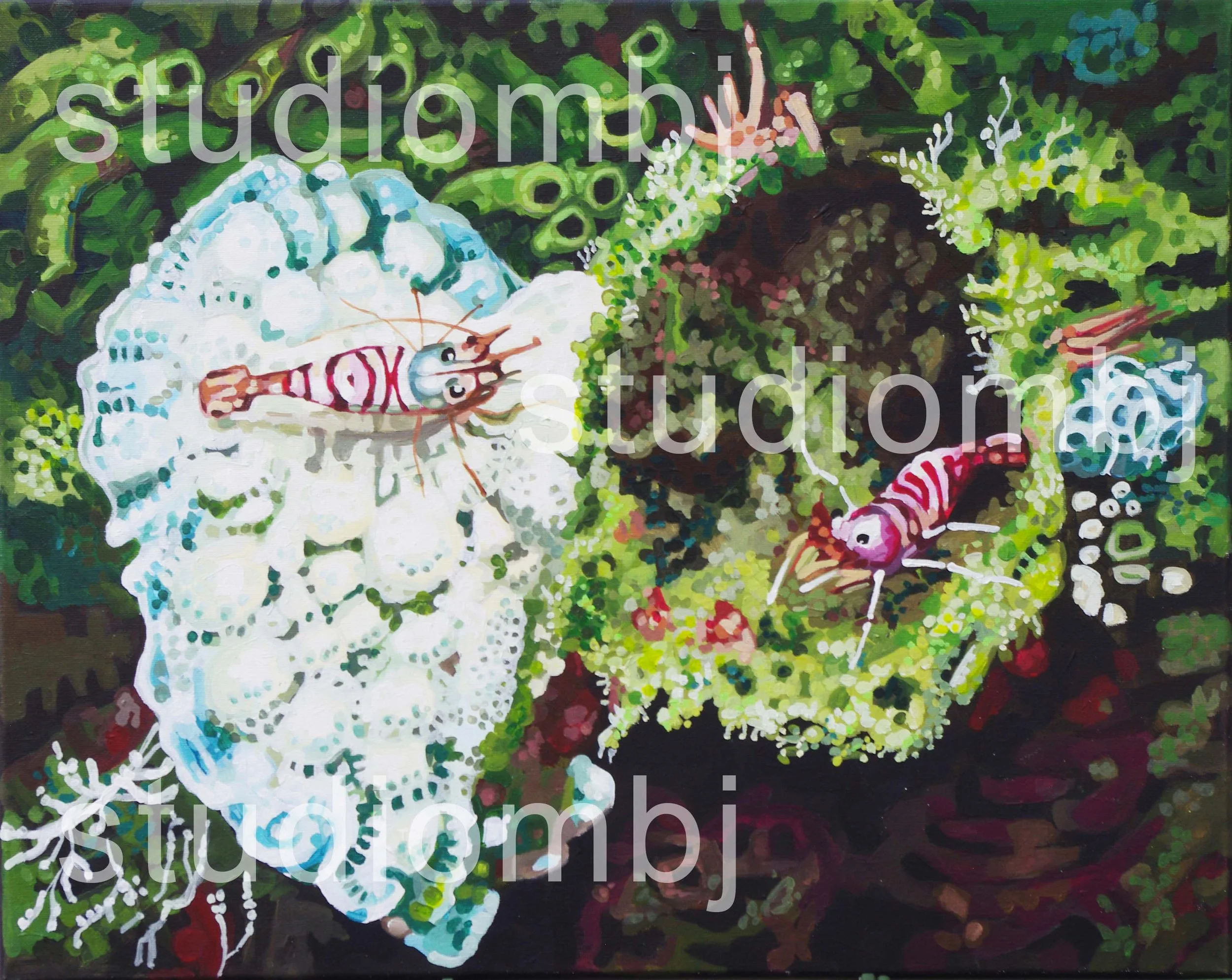 Shrimp Friends! 20x16" acrylic on canvas, 2025