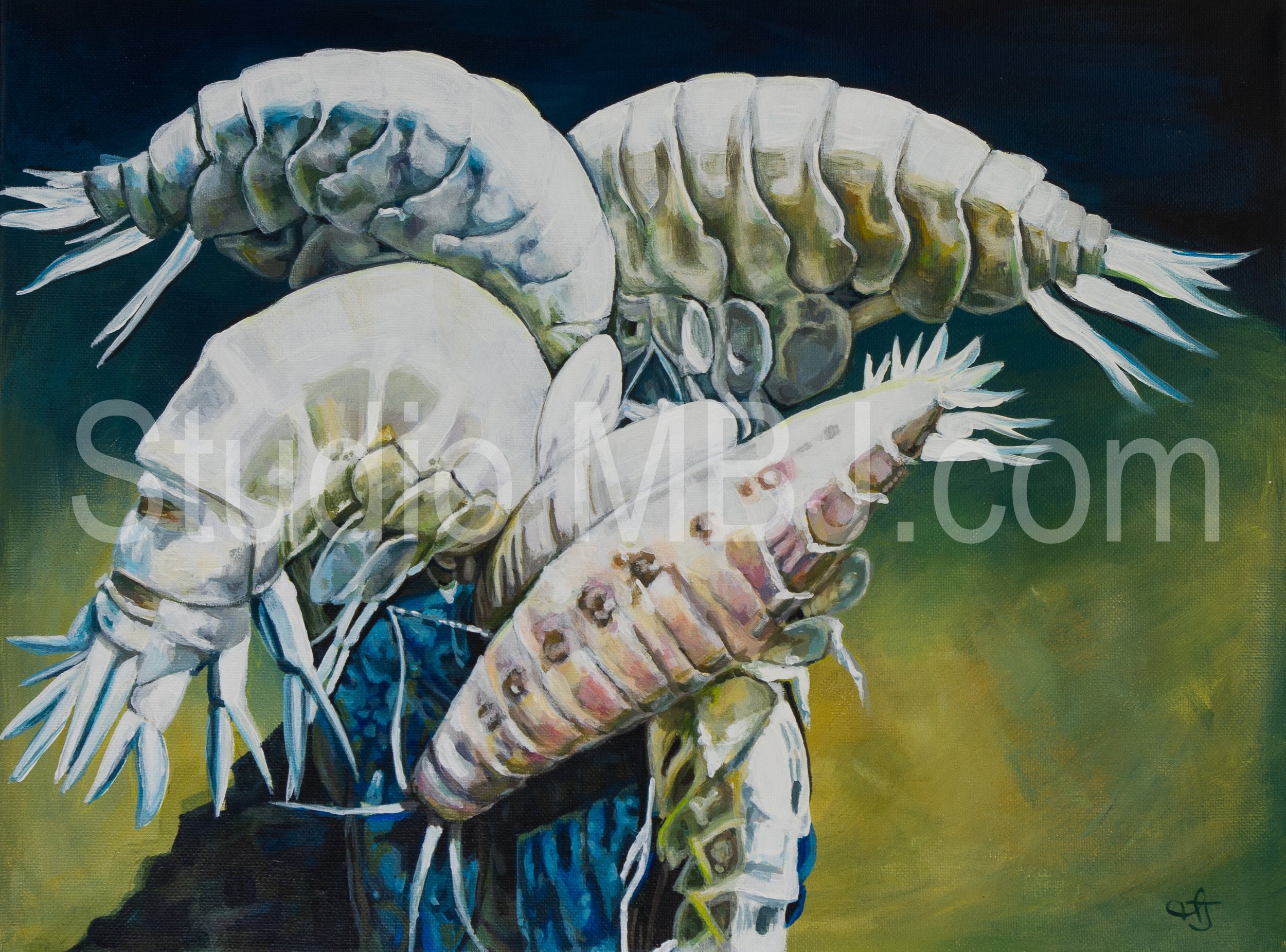 Supergiant Amphipods, 14x18" acrylic on canvas, 2023