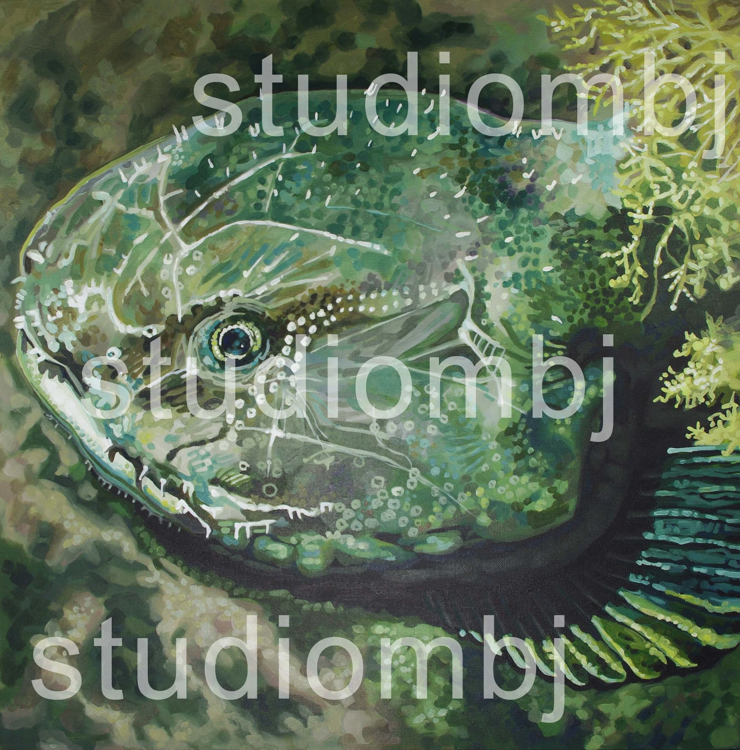 Not the Blob(fish) You're Looking For, 24x24" acrylic on canvas, 2025