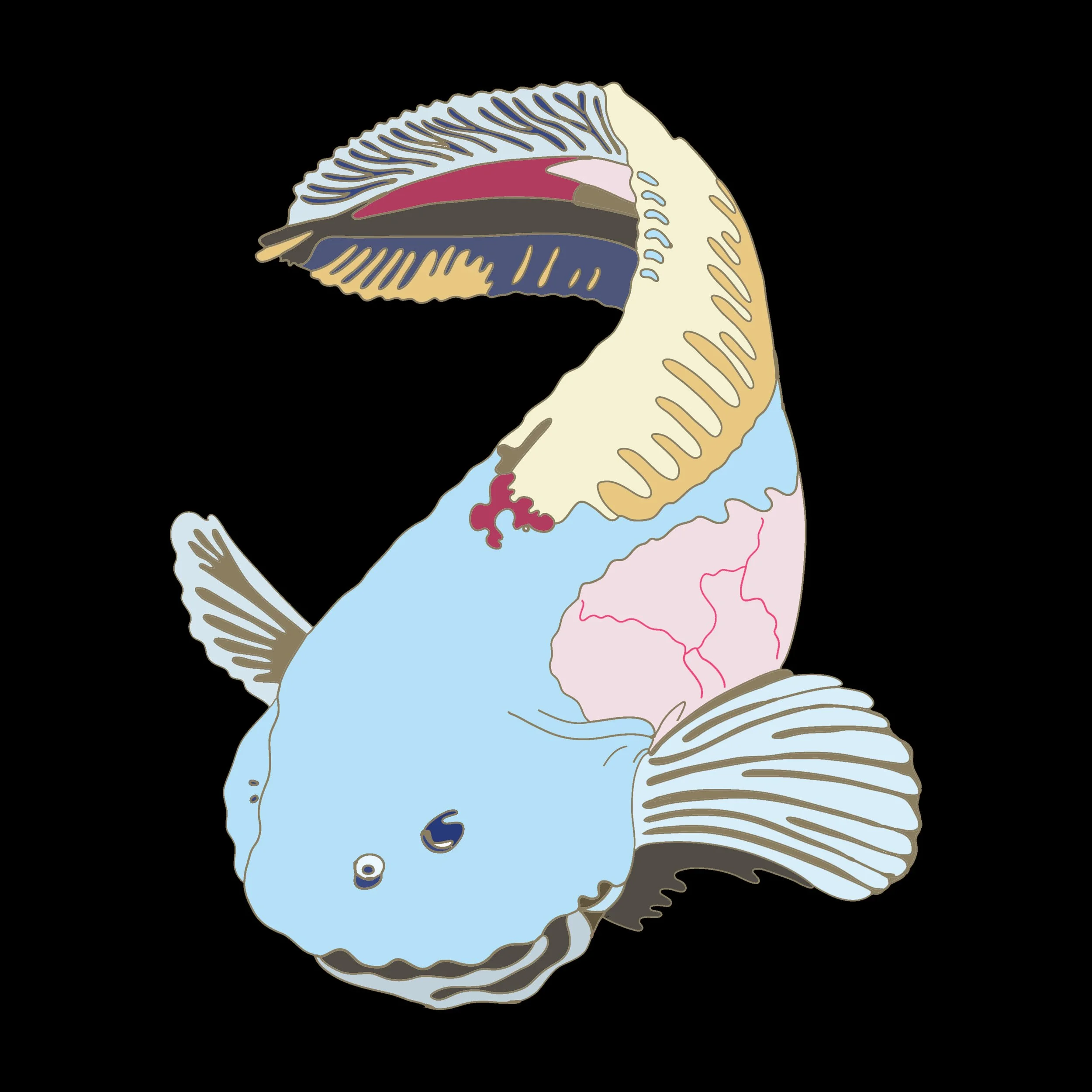 Snailfish Graphic
