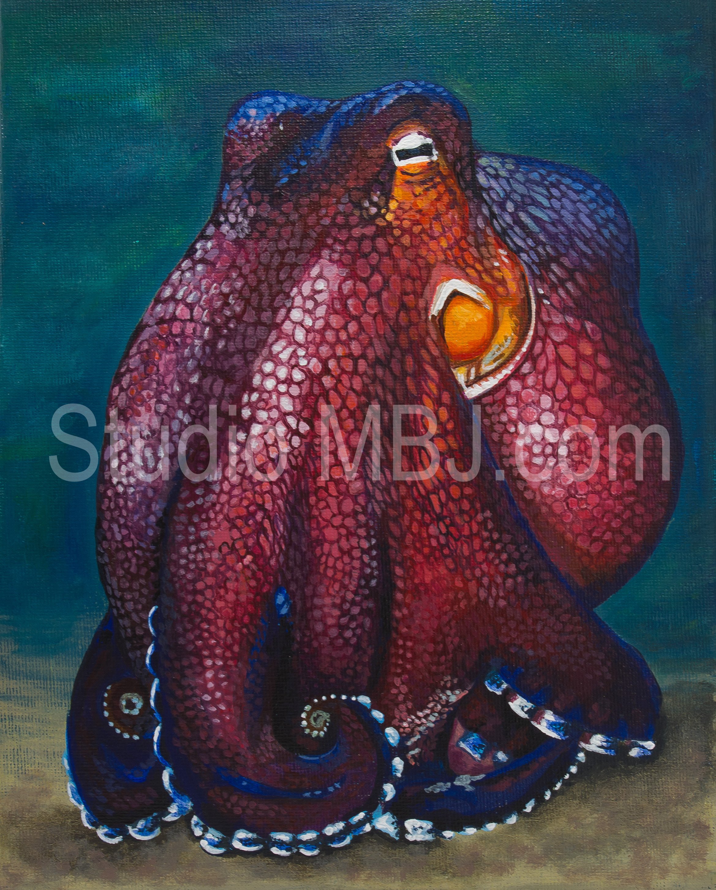 Coconut Octopus, 8.5x11" acrylic on canvas