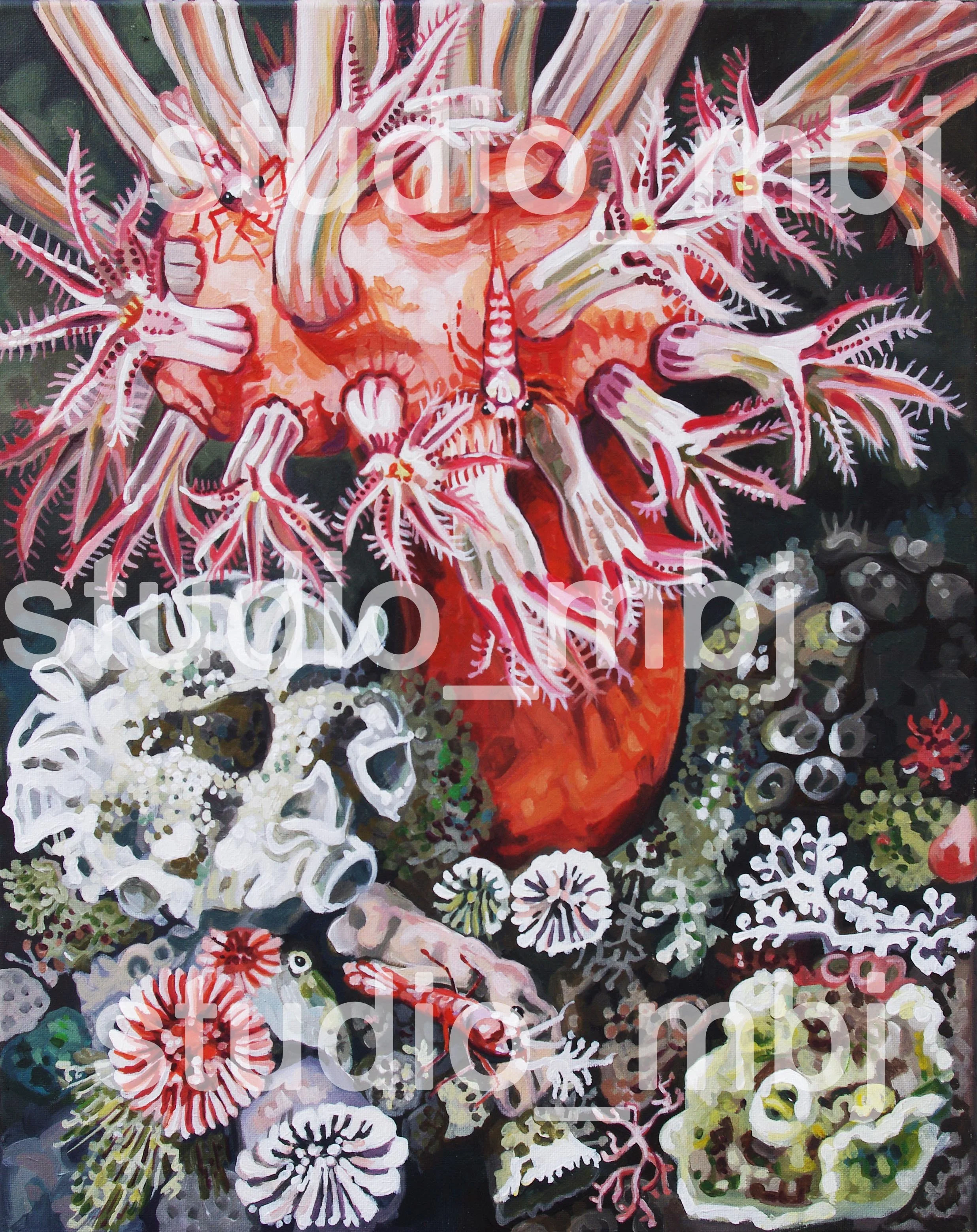 Mushroom Coral Party, 16x20 acrylic on canvas, 2025