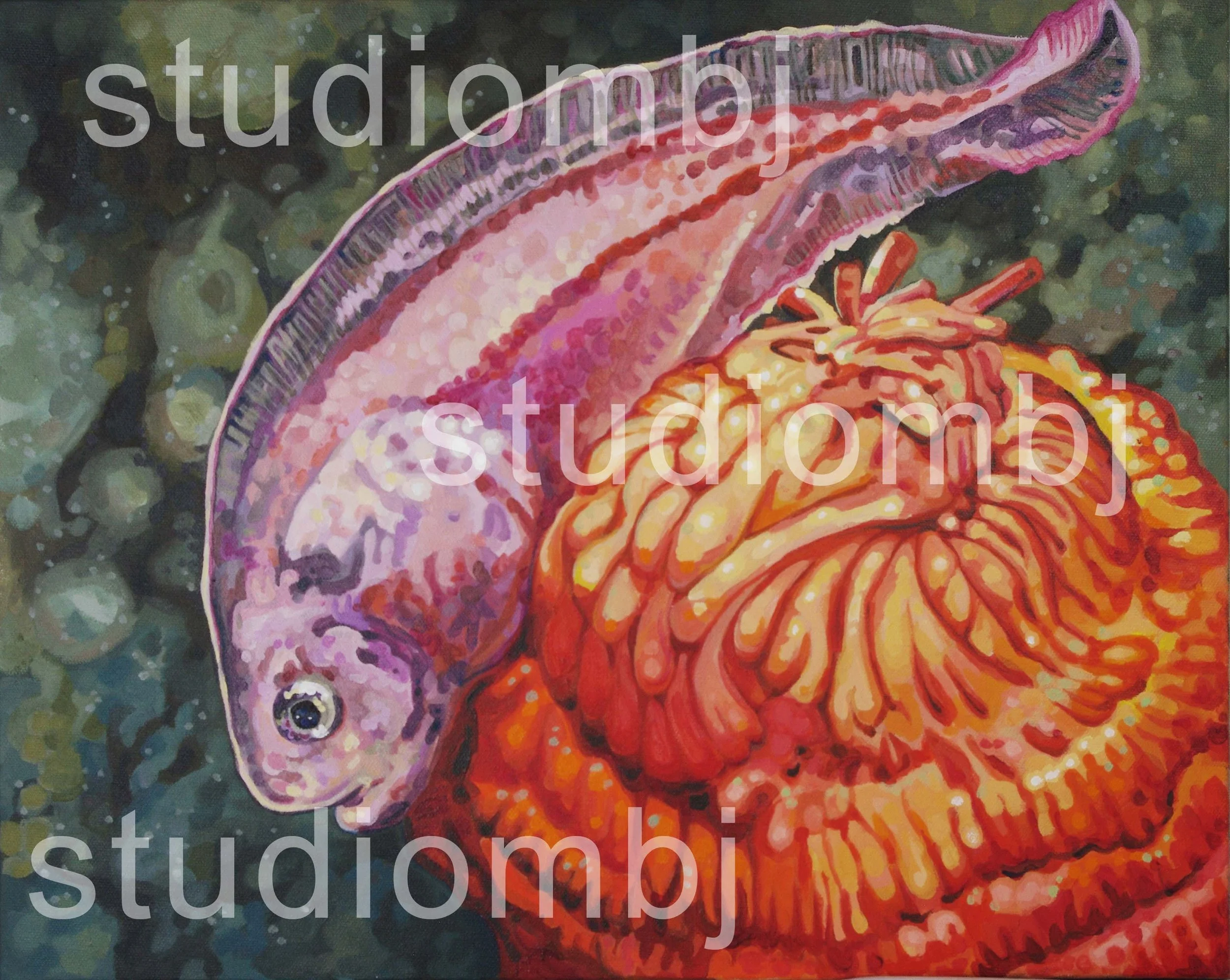 Snailfish Cupcake, 20x16" acrylic on canvas, 2026
