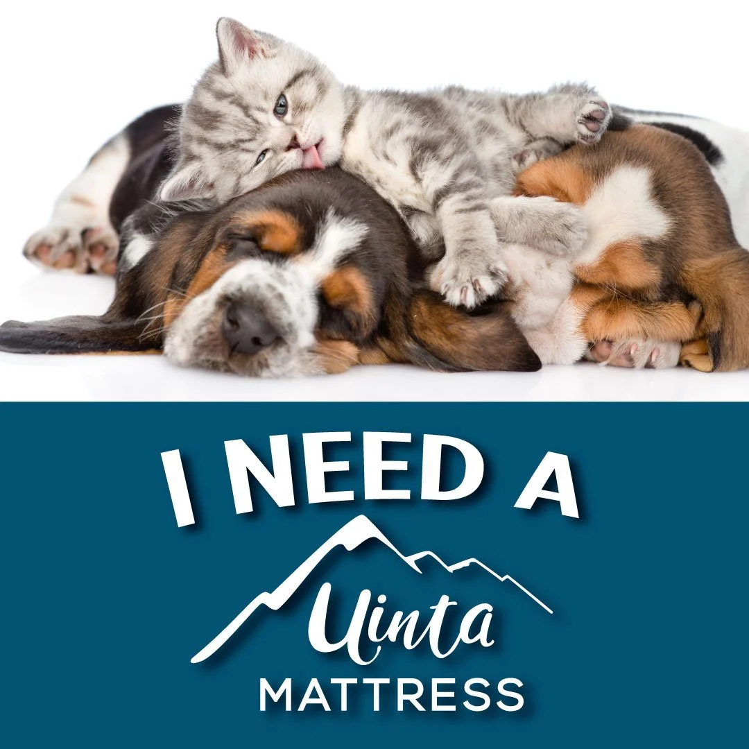 Social media design for Uinta Mattress by Rob Covington