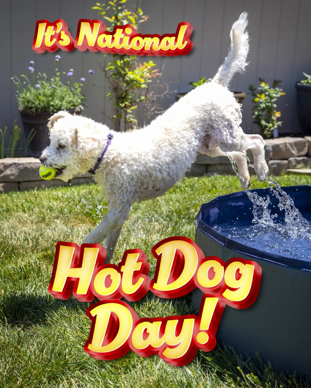 Social media design for Southwest Medical Imaging by Rob Covington