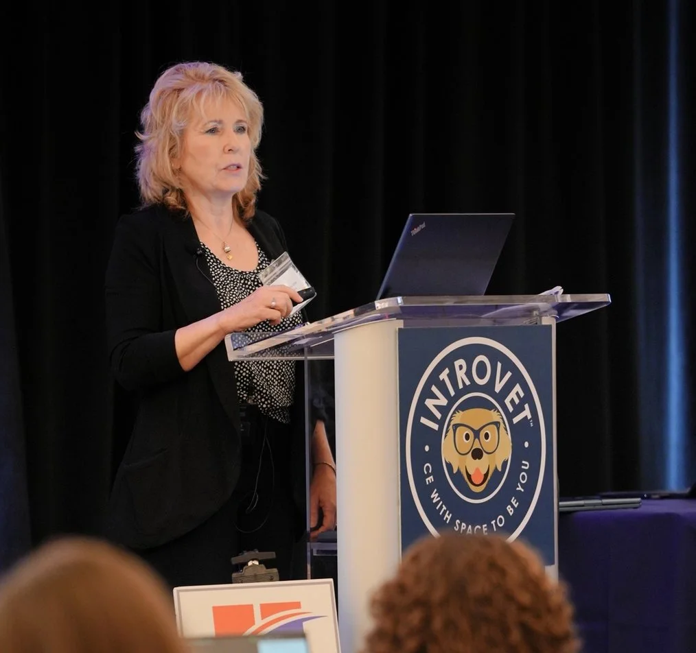 Timeline 2_01_02_49_06 copy.jpg