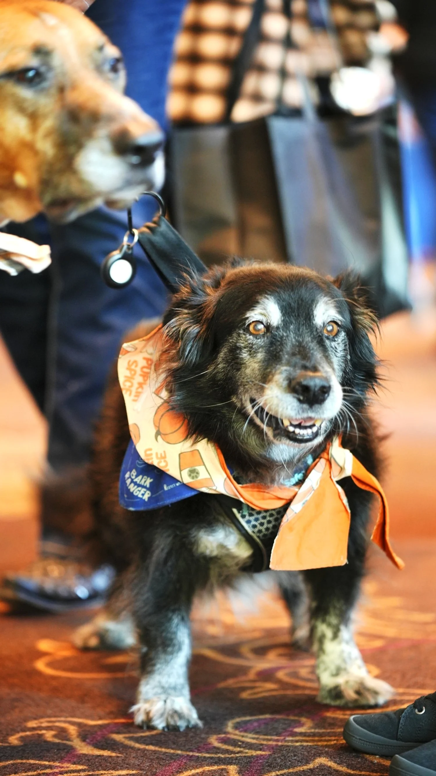 Timeline 2_01_02_03_12.jpg