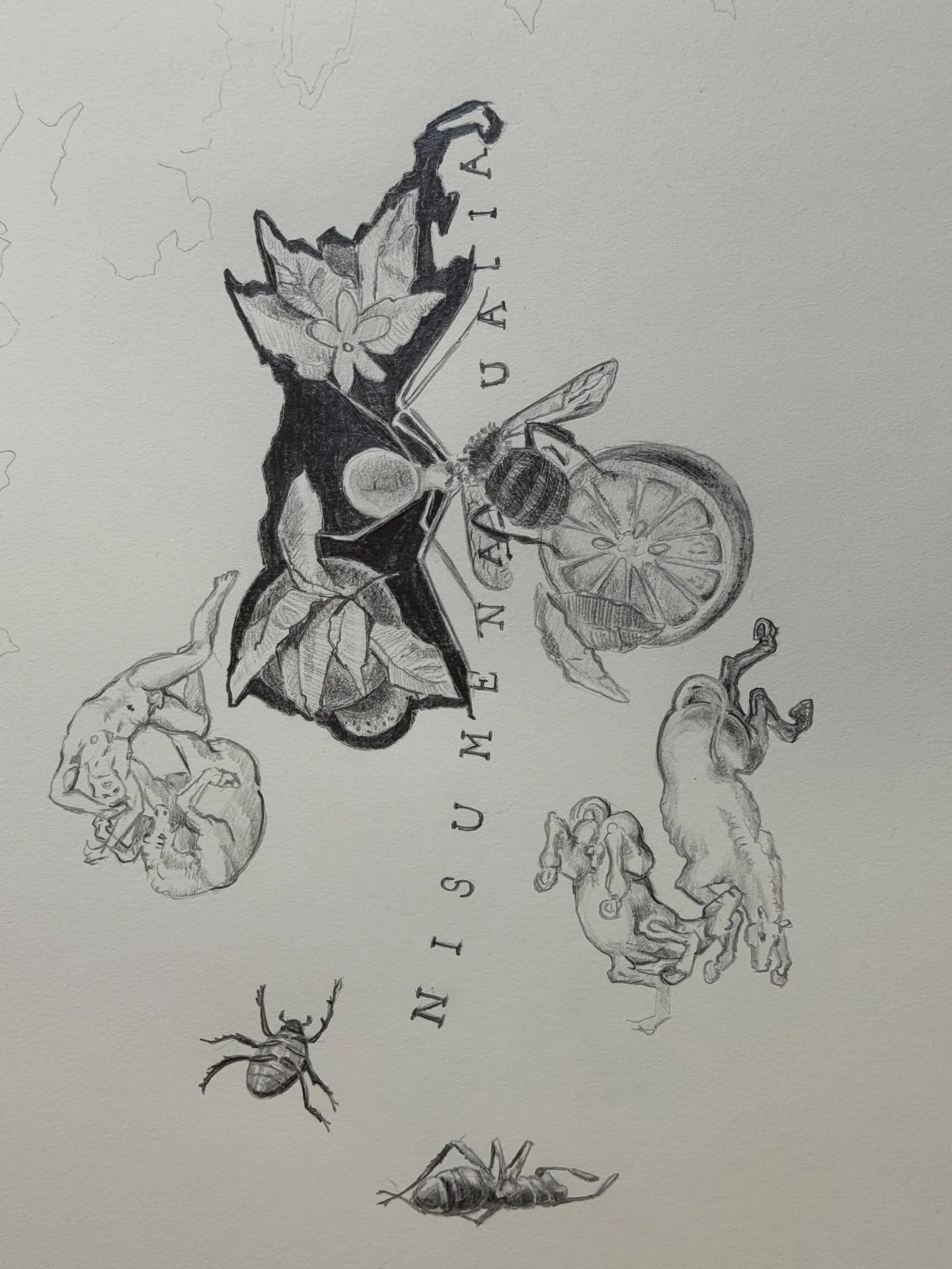 Working progress..
#drawing #sketch #mortal