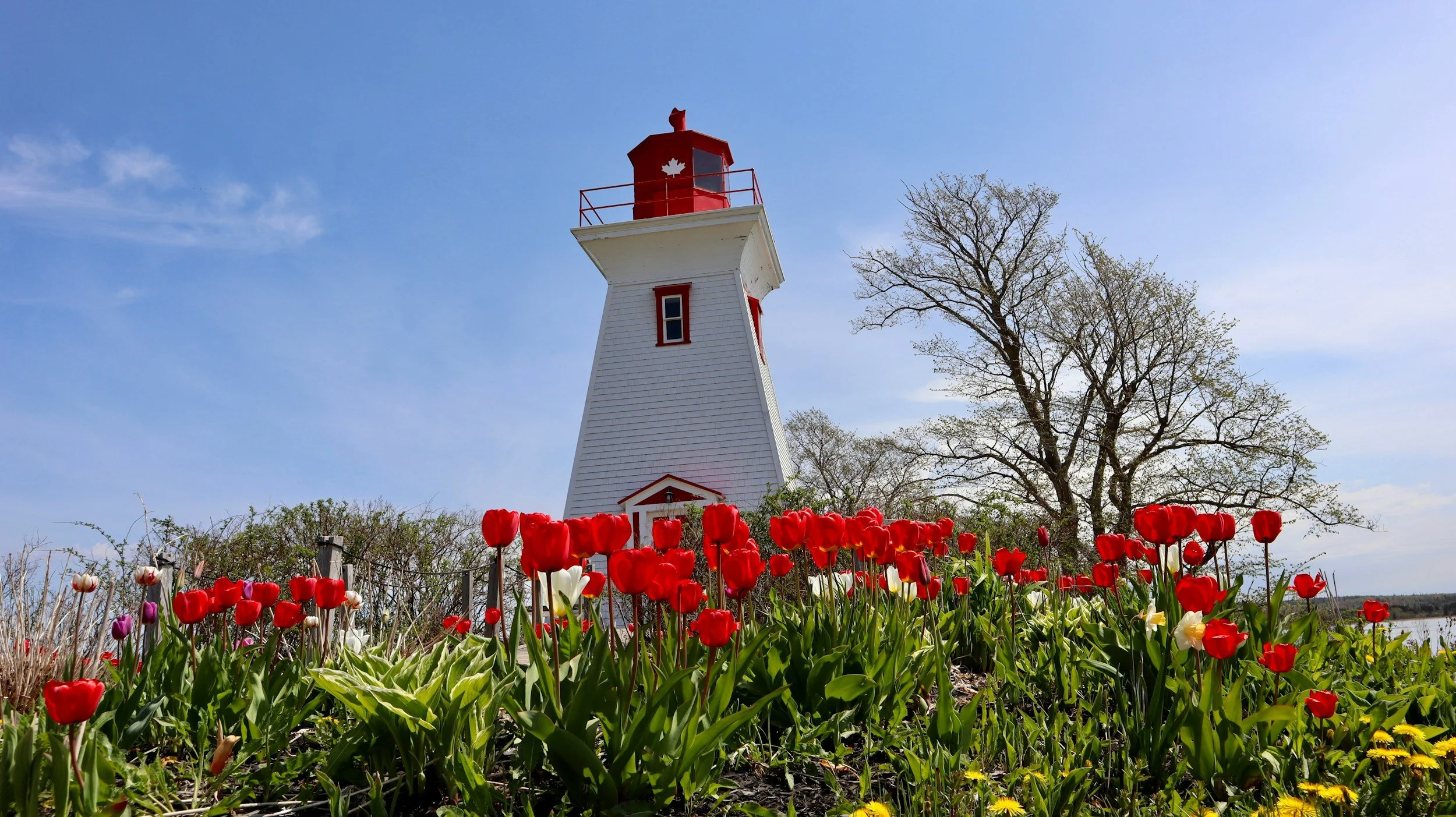 Moving to Prince Edward Island from Within Canada