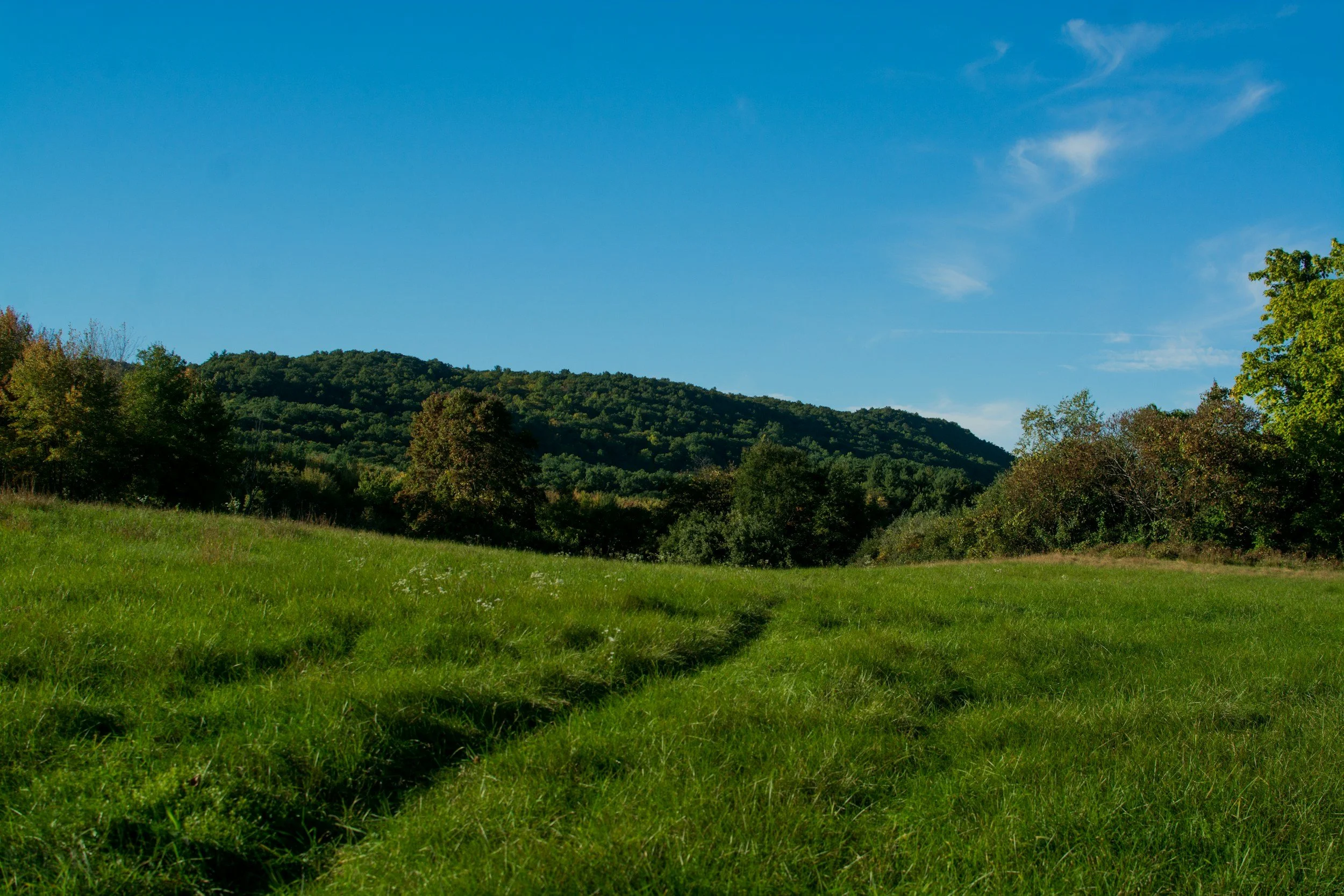 Moving to Connecticut