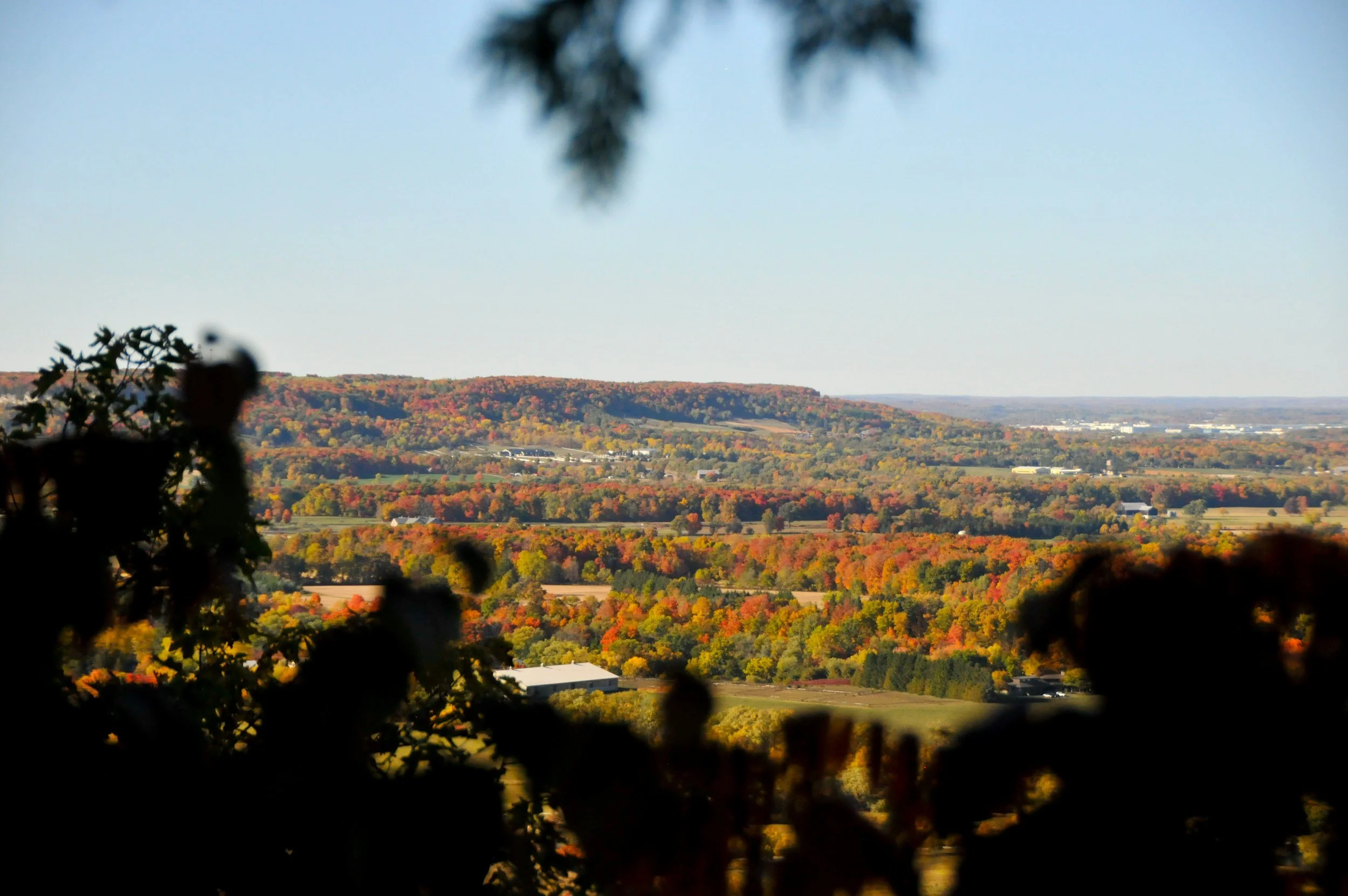 Moving to Burlington
