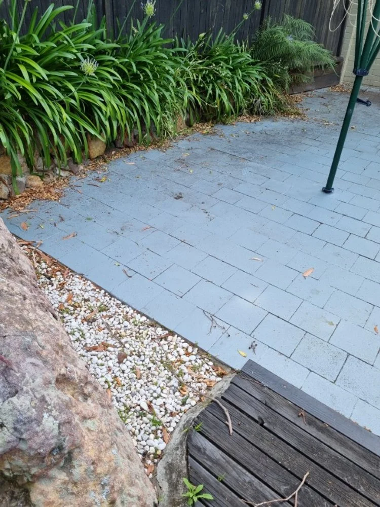 20231113_172637 (Custom).jpg