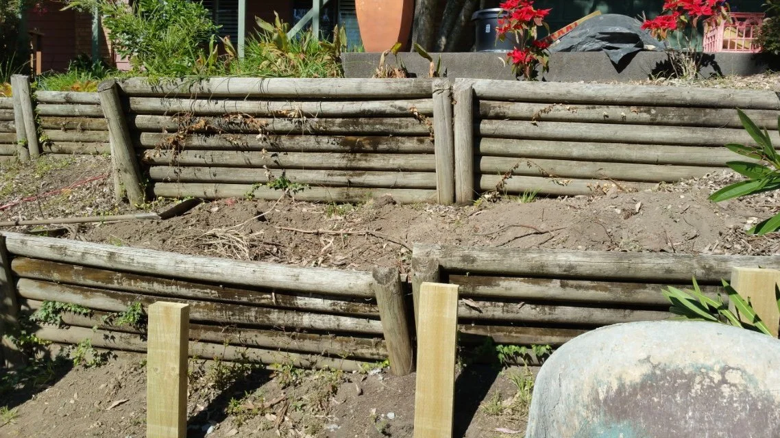 20170729_120408.jpg