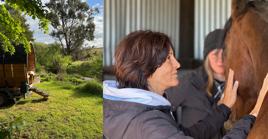 Regulate &amp; Restore: Horse &amp; Sauna Experience
