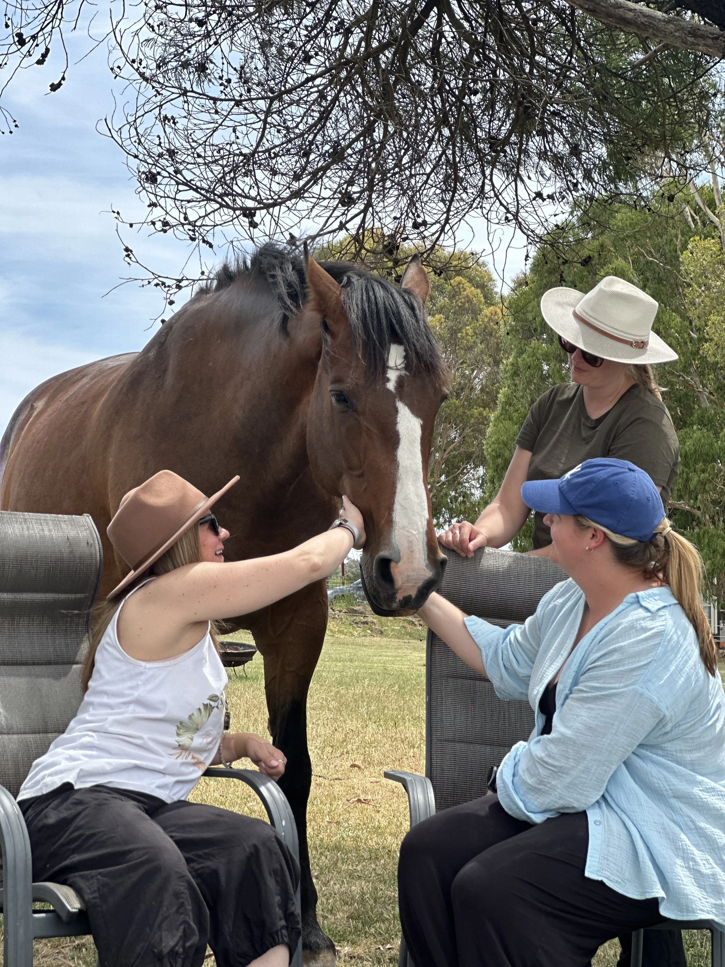 Regulate &amp; Restore: Mindfulness with Horses