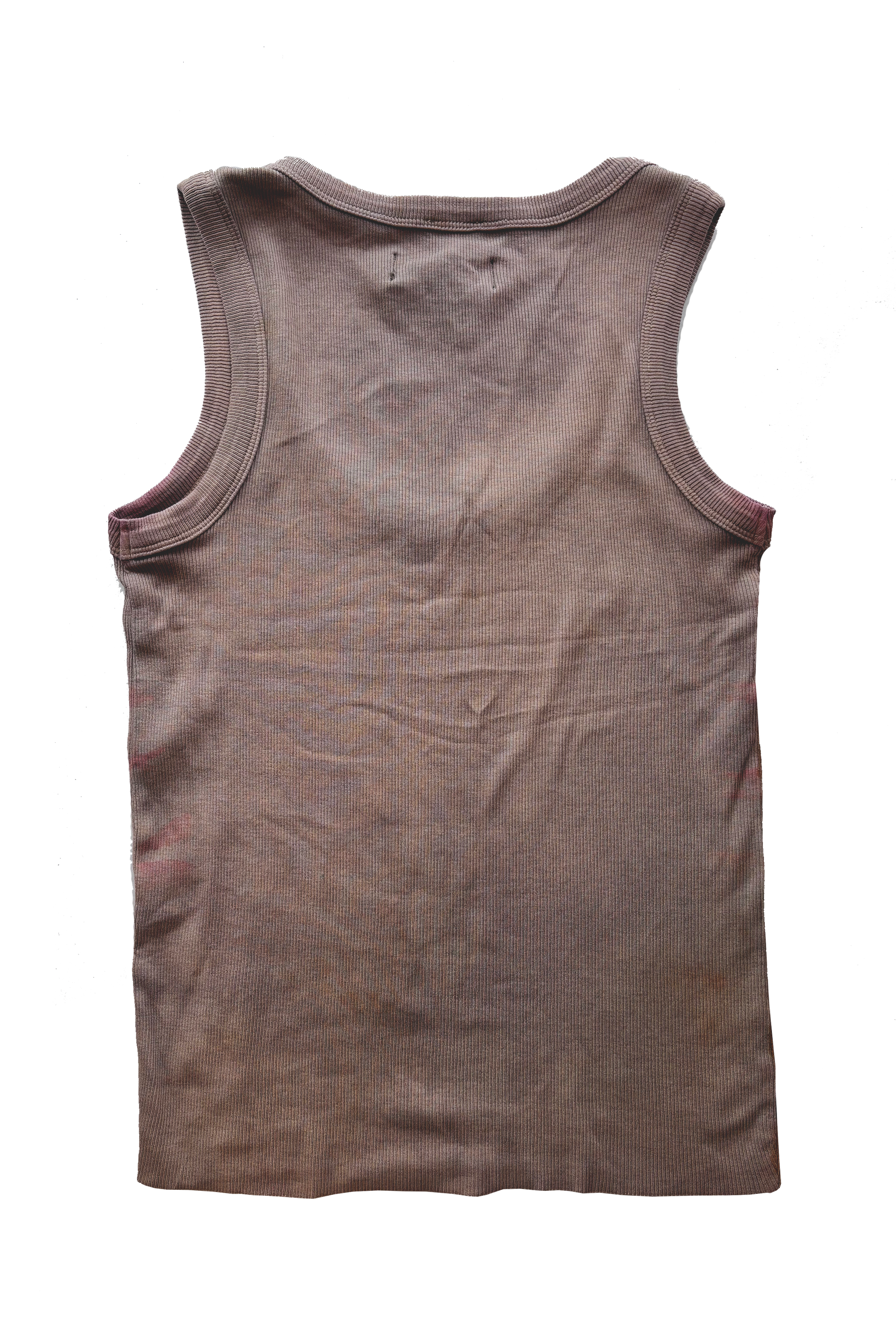 Mushroom_back_Tank 2_2026.png