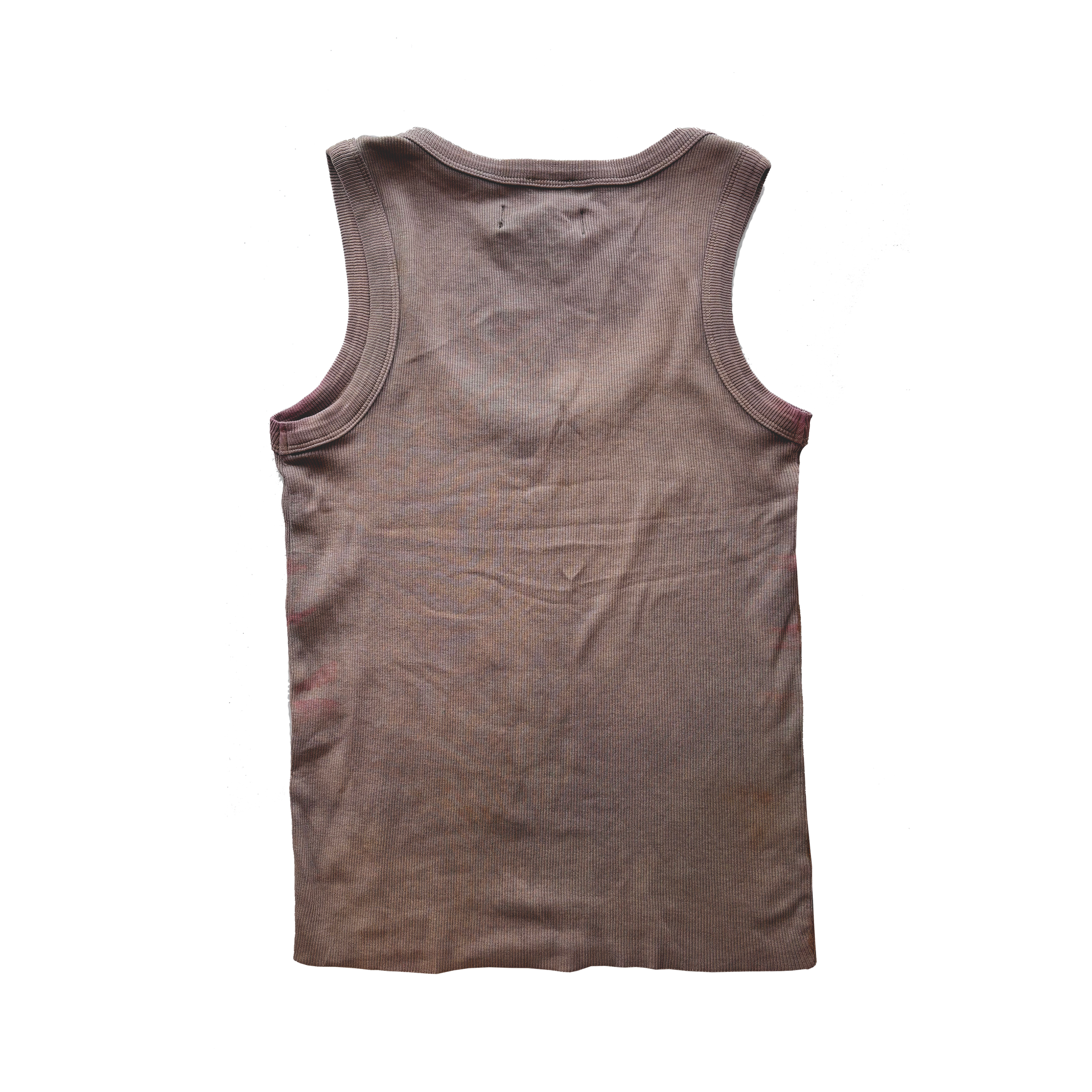 Mushroom_back_Tank 2_2026.png