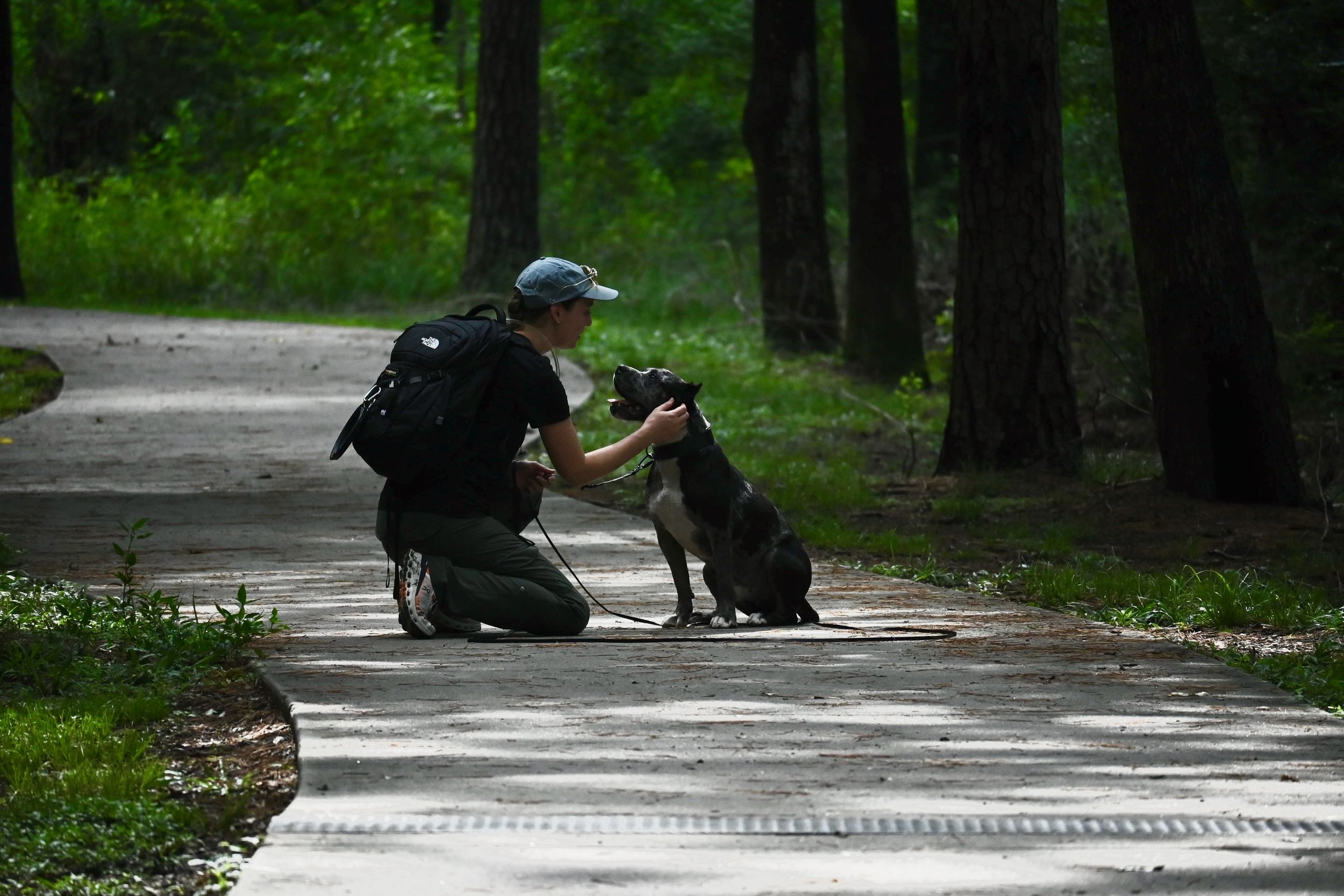 how to find the right trainer for you and your dog