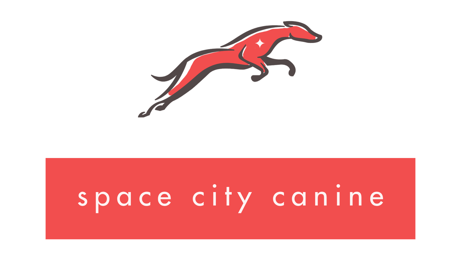 space city canine