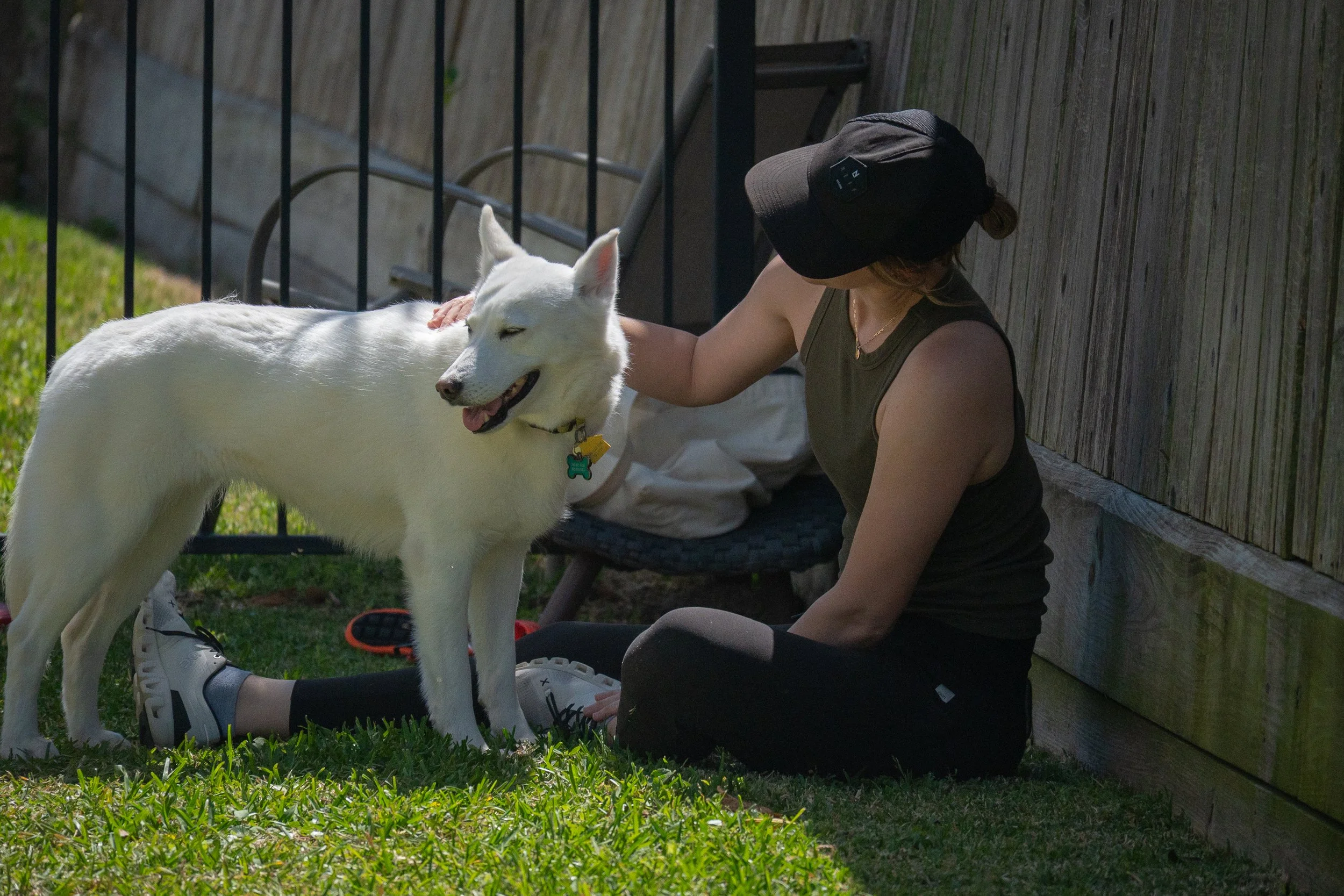 Dog trainer in black cap petting a large white dog while sitting on the grass next to a wooden fence, taking a break from dog training in Houston.