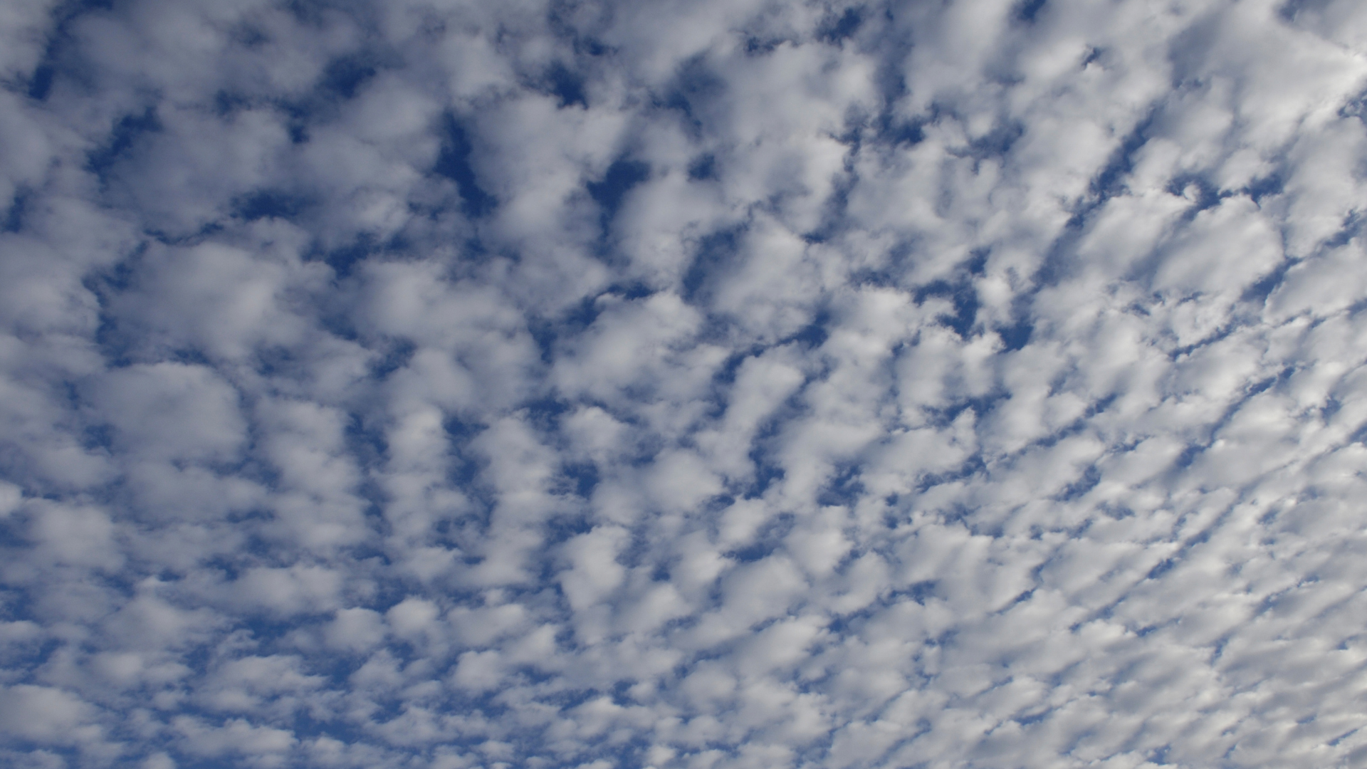Cirrocumulus