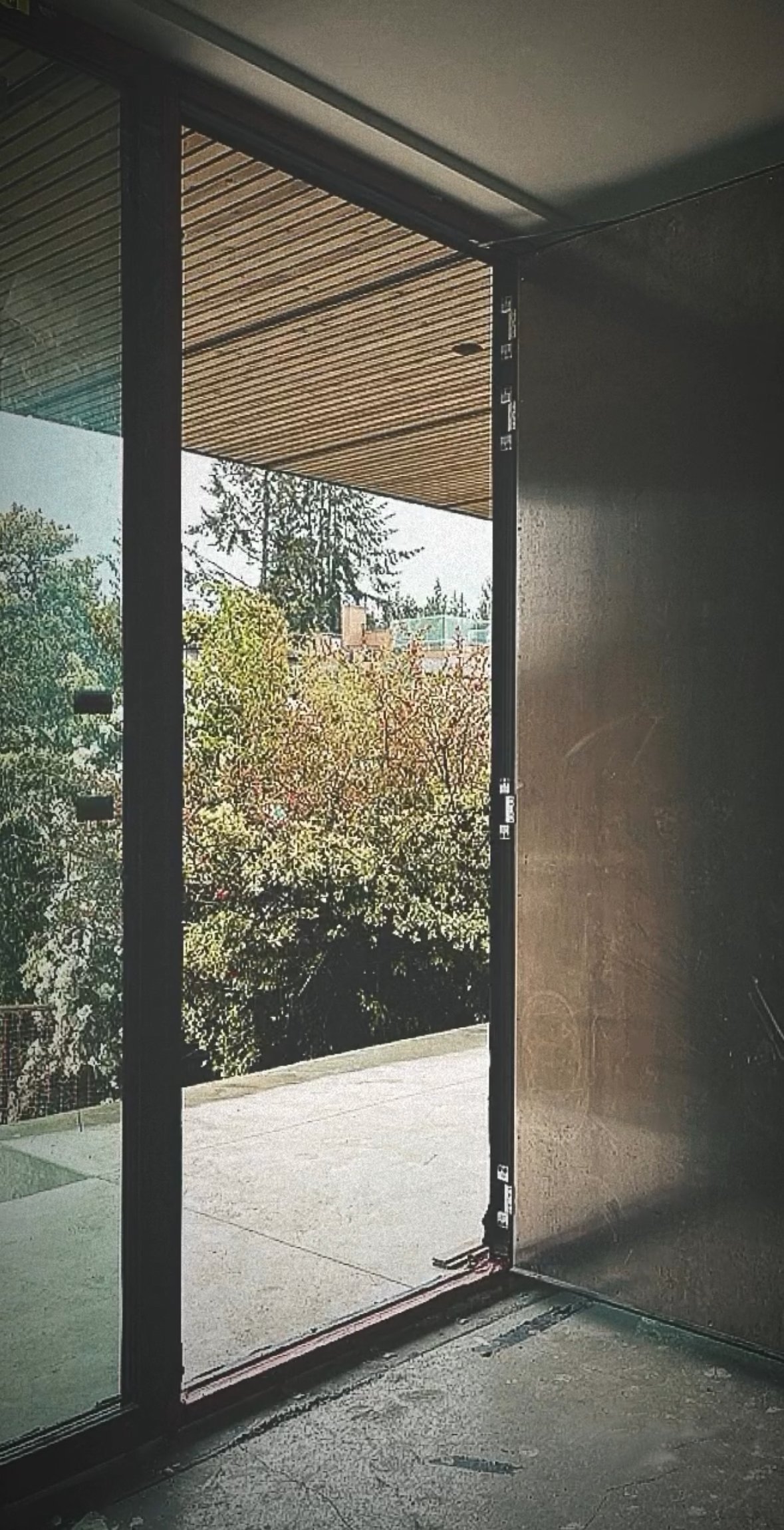 Open glass door leading to a patio, surrounded by trees and greenery.