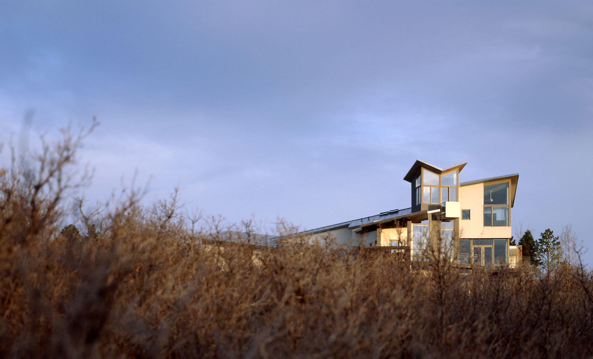 davisarchitect-colorado-bmr-Back_sun_bush.jpg
