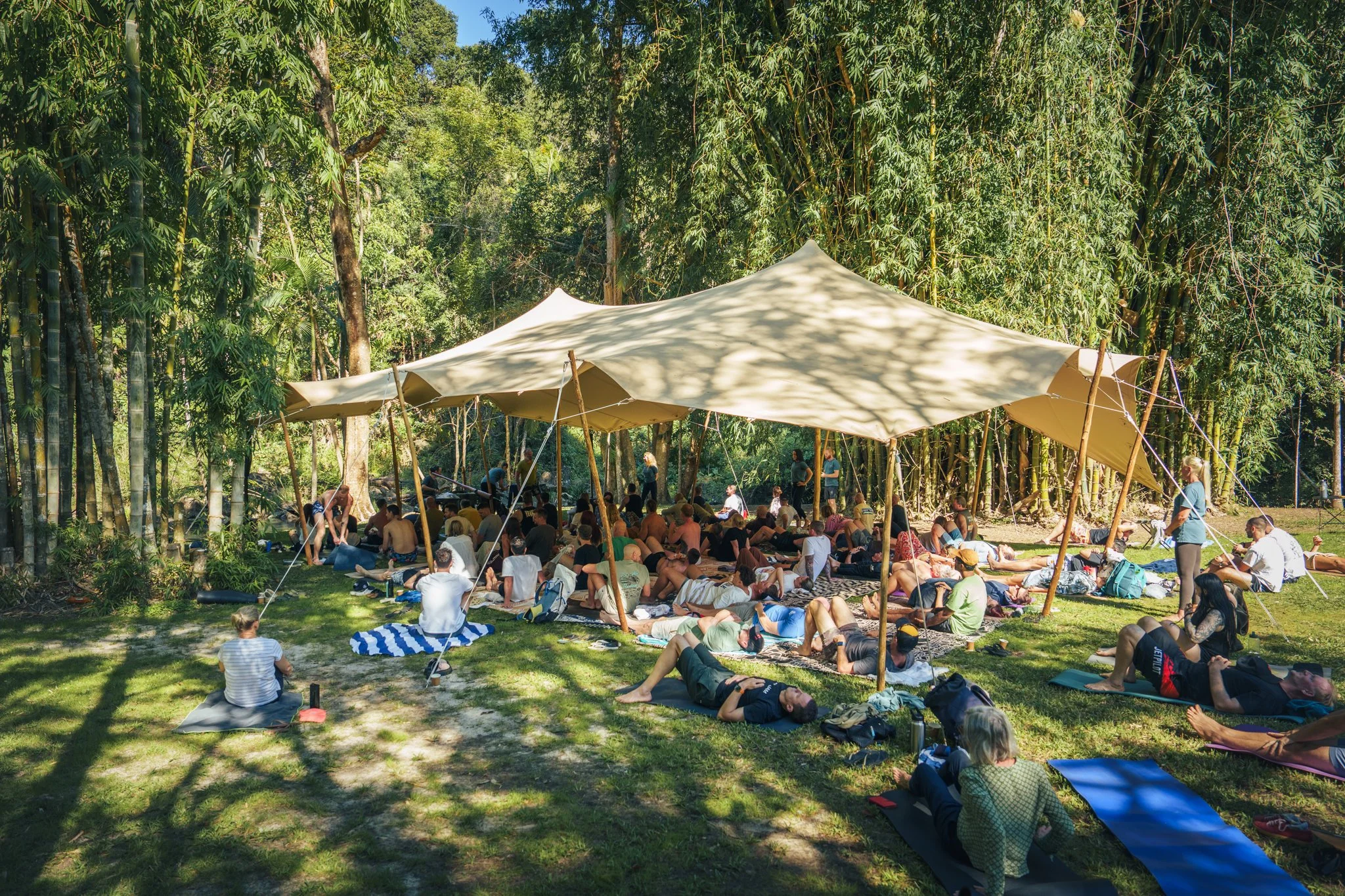 Festivals at Avana Byron Bay