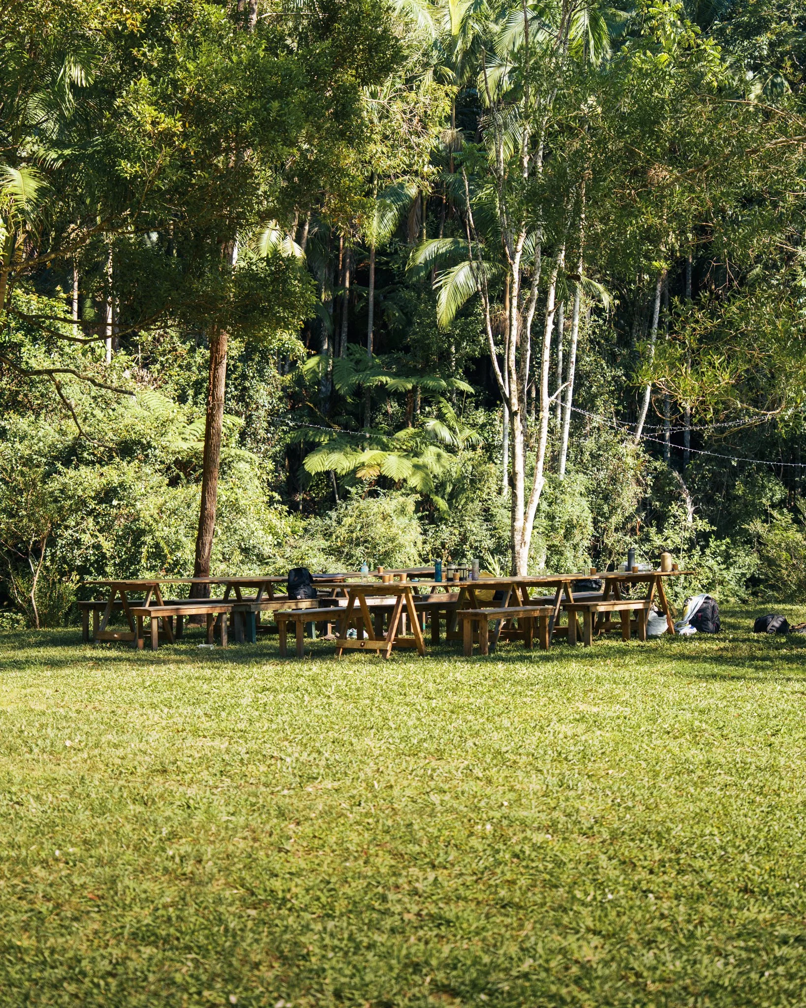 Multiple wooden picnic tables and benches set up on a grassy clearing, surrounded by dense green tropical trees and plants.