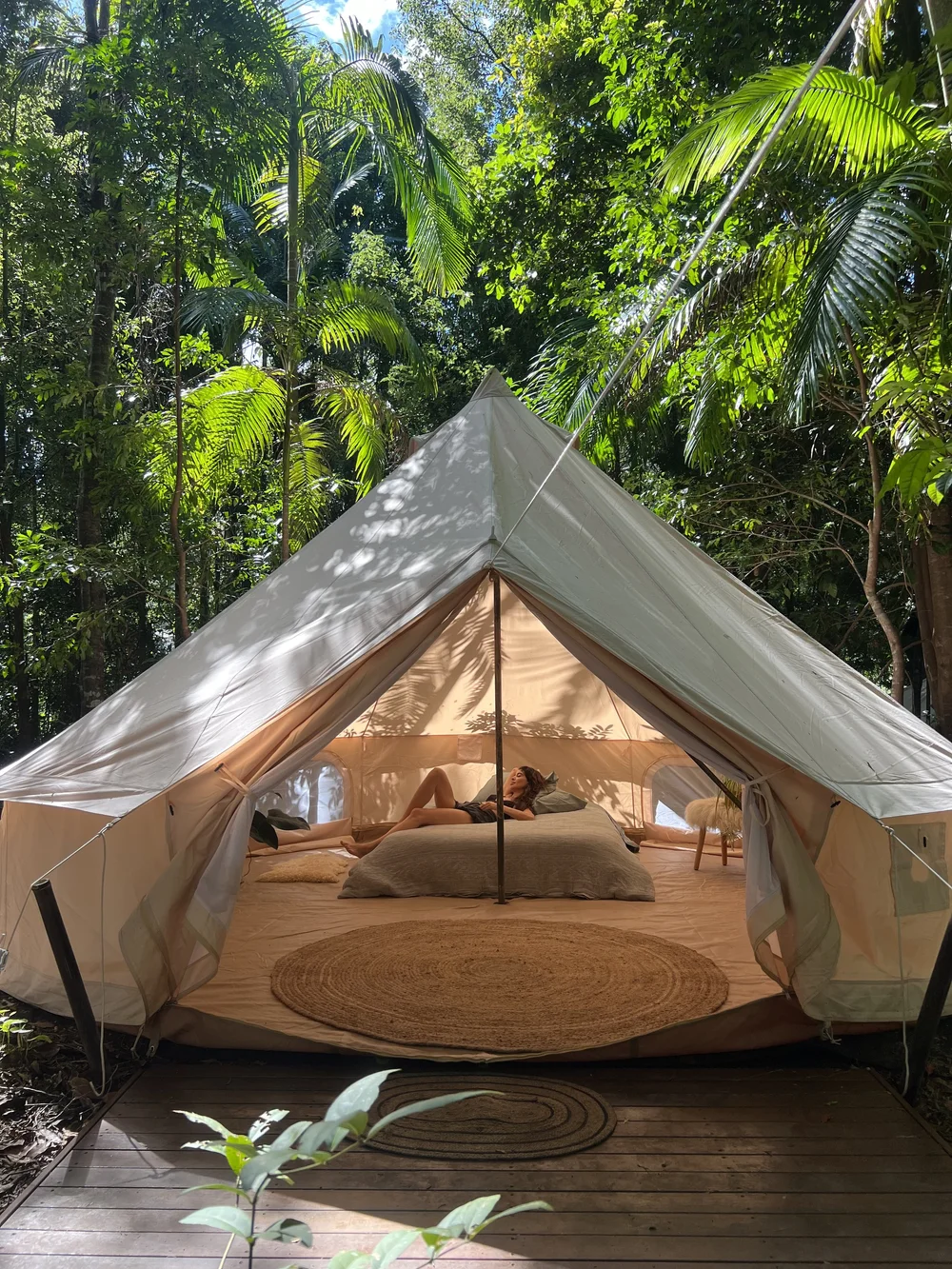 A bell tent set up in the rainforest