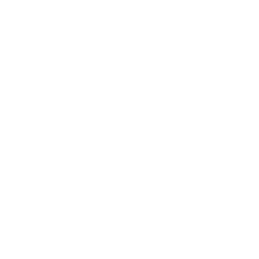 Strategy and Coaching