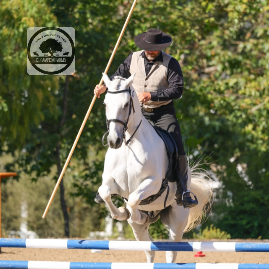 ECFWE Buckle Series 1 & 2