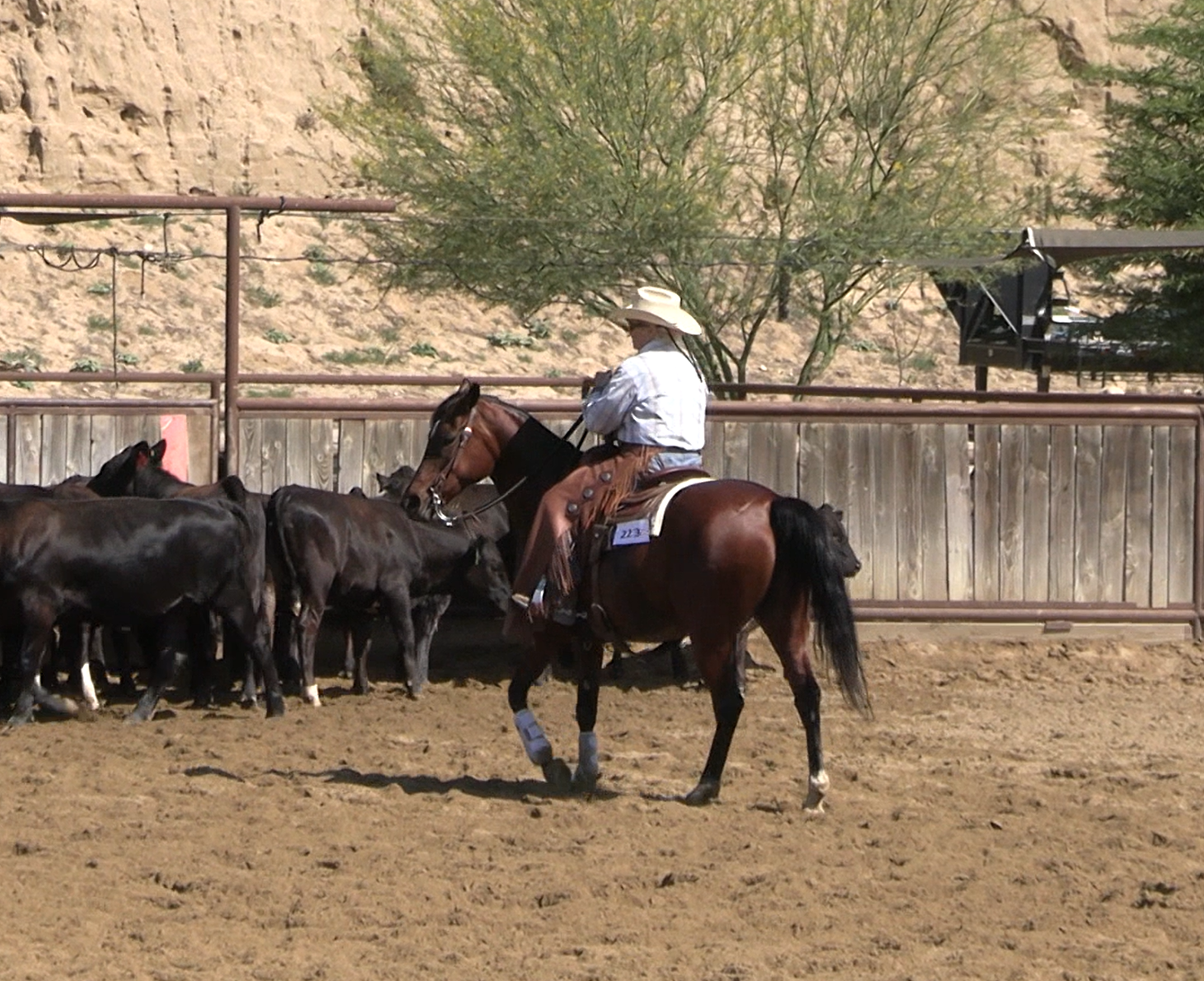 Jimmy Flores Sr. Memorial Show