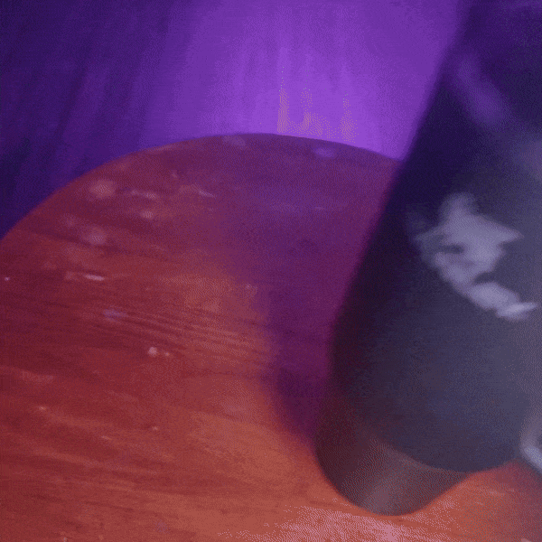 Stanley Tumbler Toppers