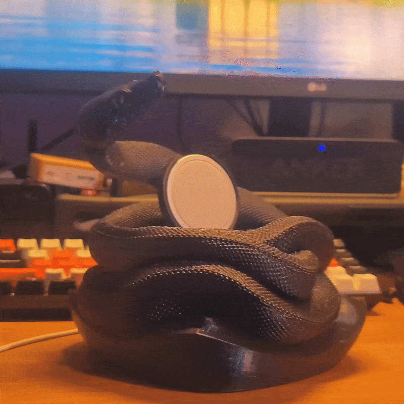 Year of the Snake