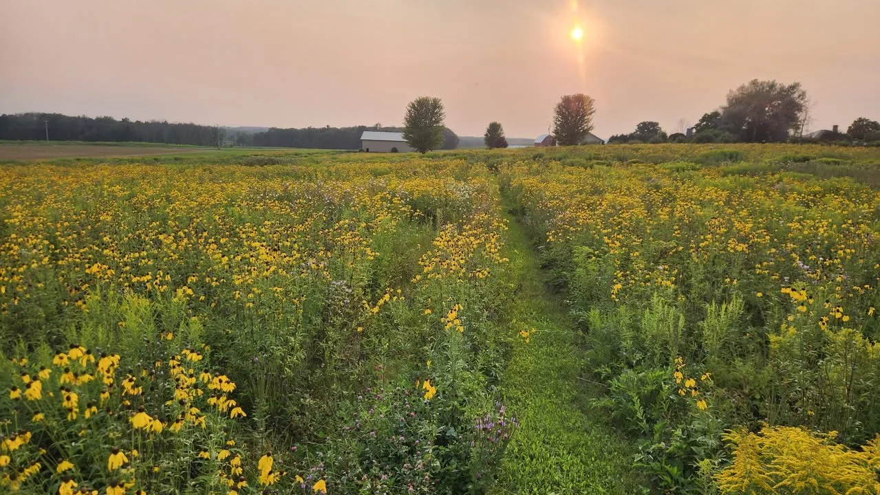 We Vote for the Planet - Prairie Walk
