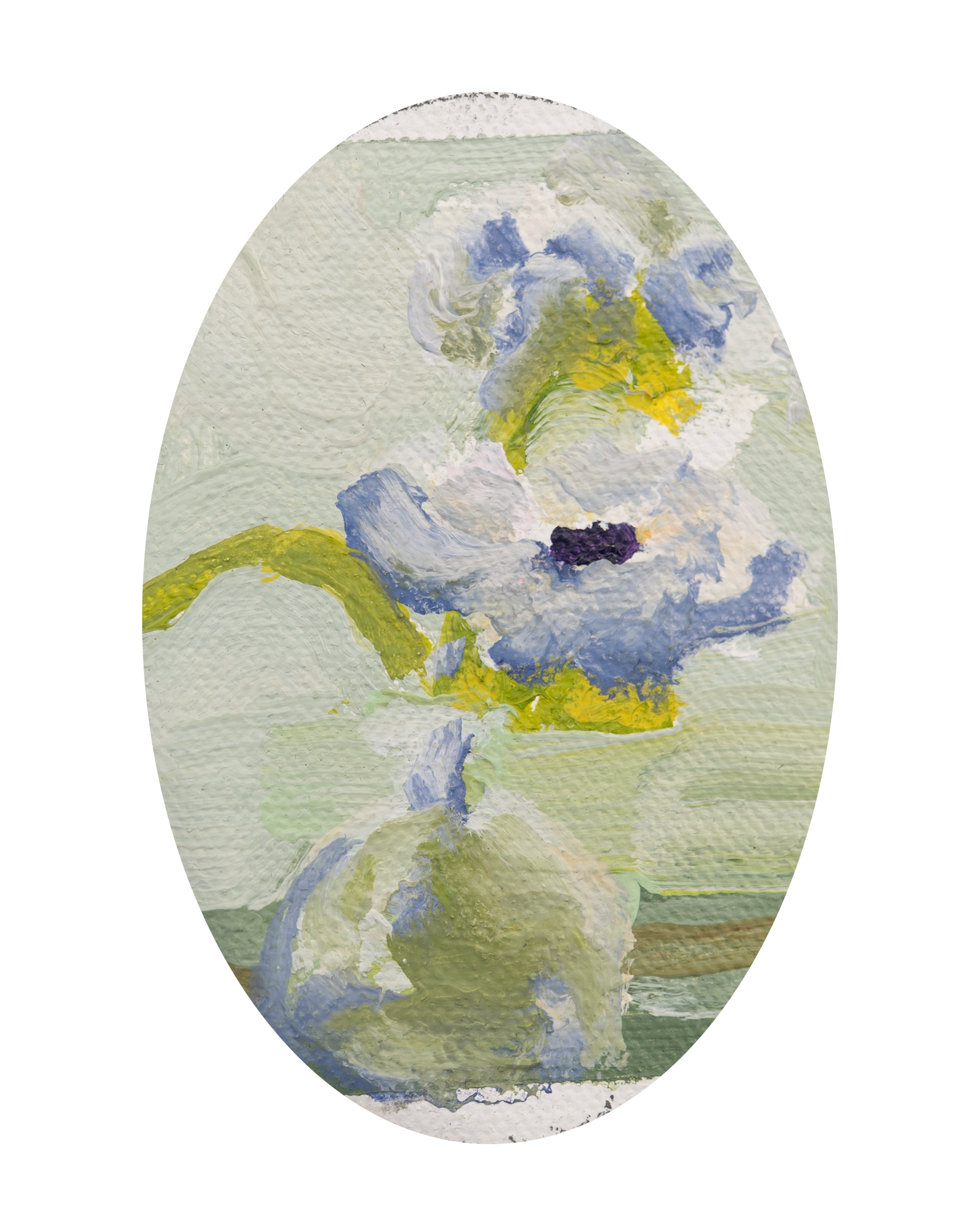 Anemones.  Oil on canvas. 