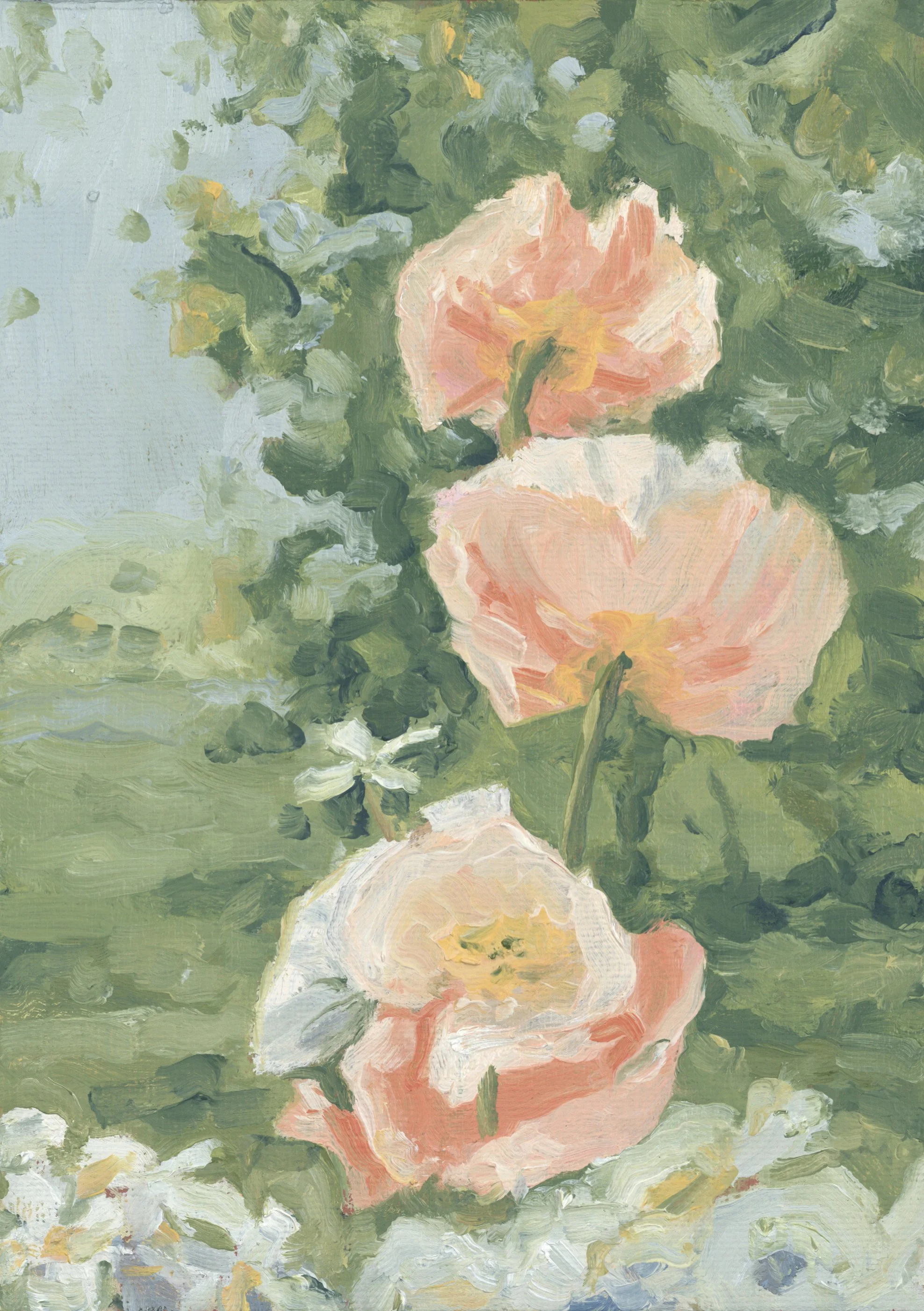 Poppies.  Oil on Canvas.  SOLD
