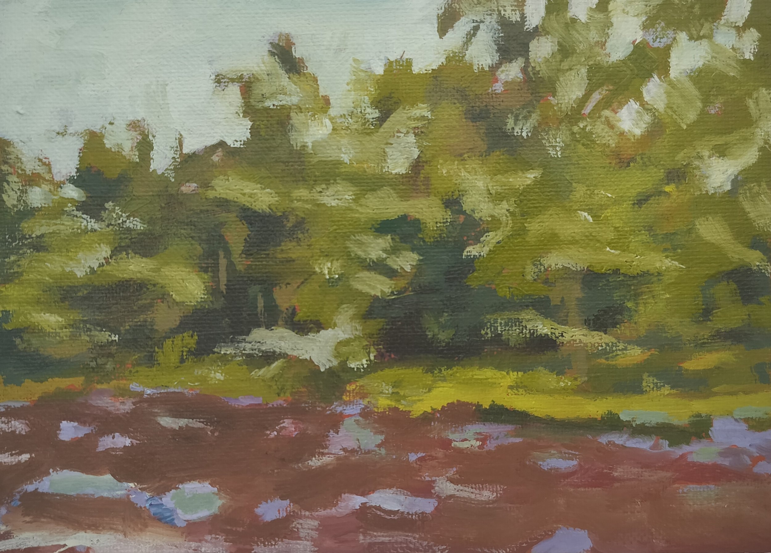 Shallow Water by the Tree Line
