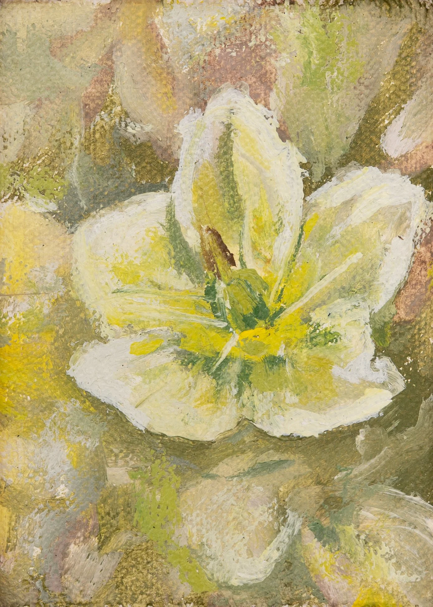 Hellebore.  Oil on canvas.  SOLD