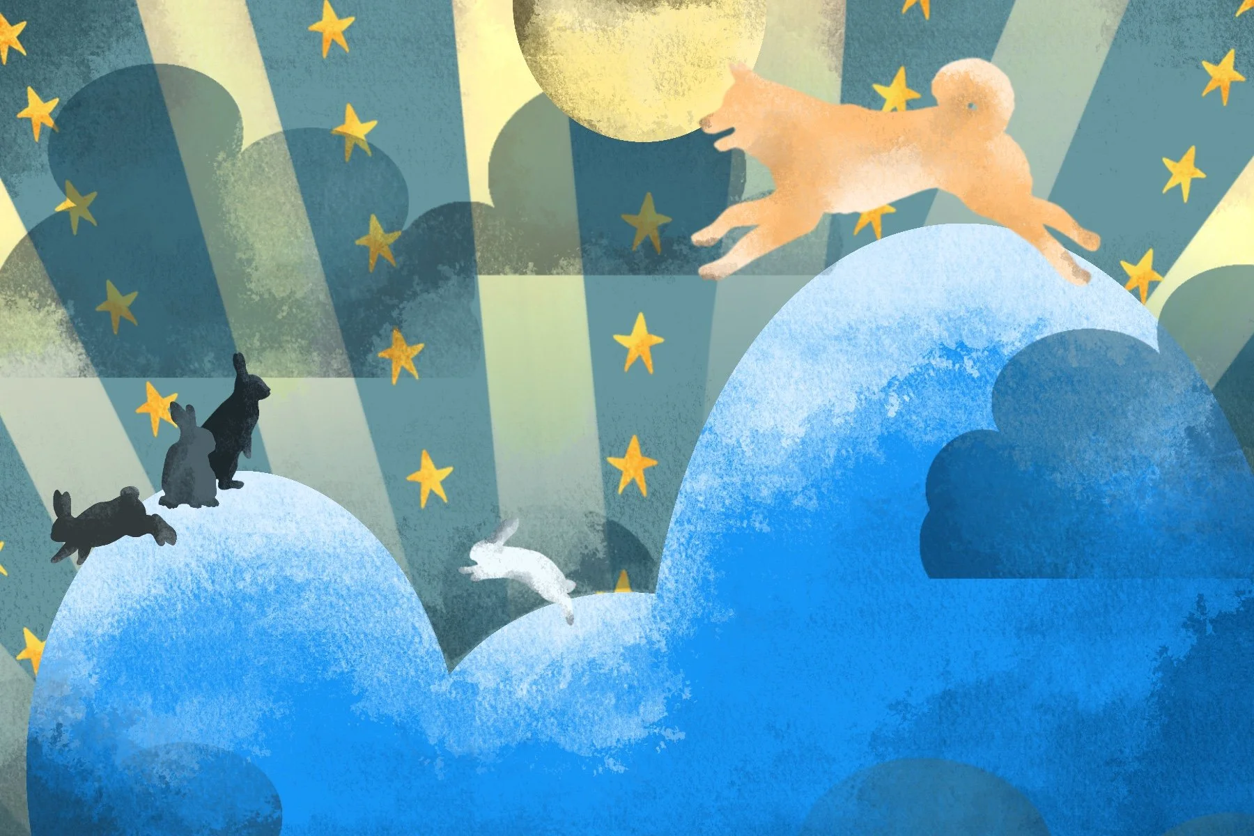 Card Designs — Mikayla Greig Illustrations