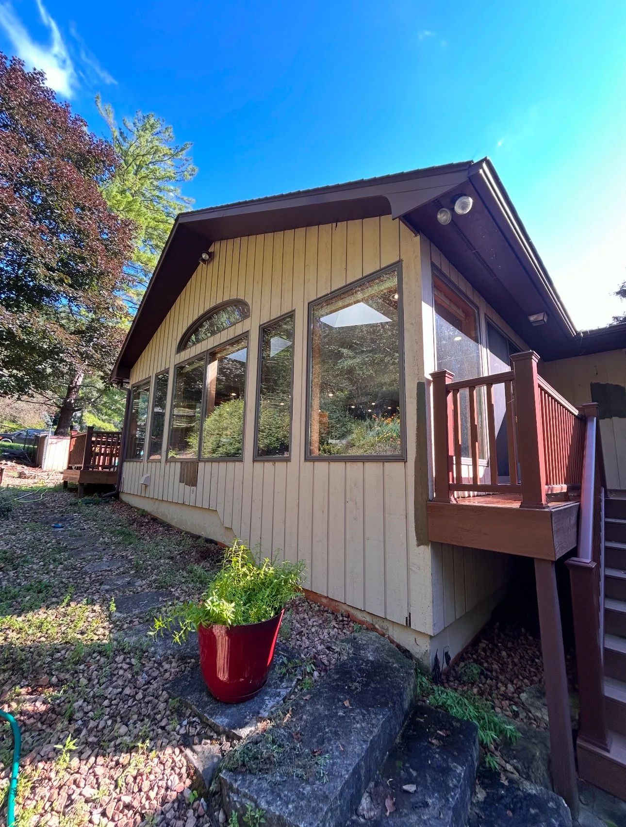 BEFORE BROWN  (1).jpg