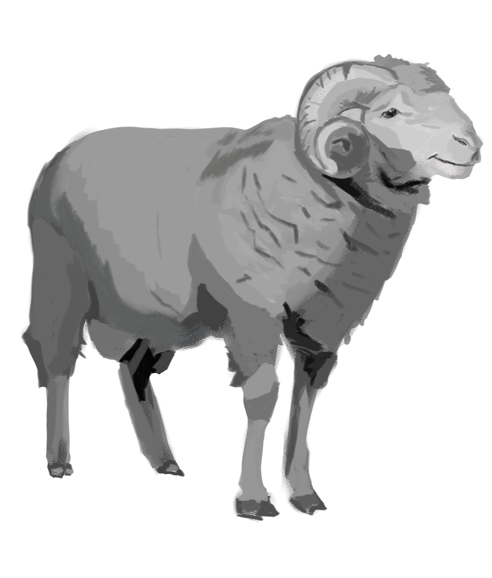 ram+render.png